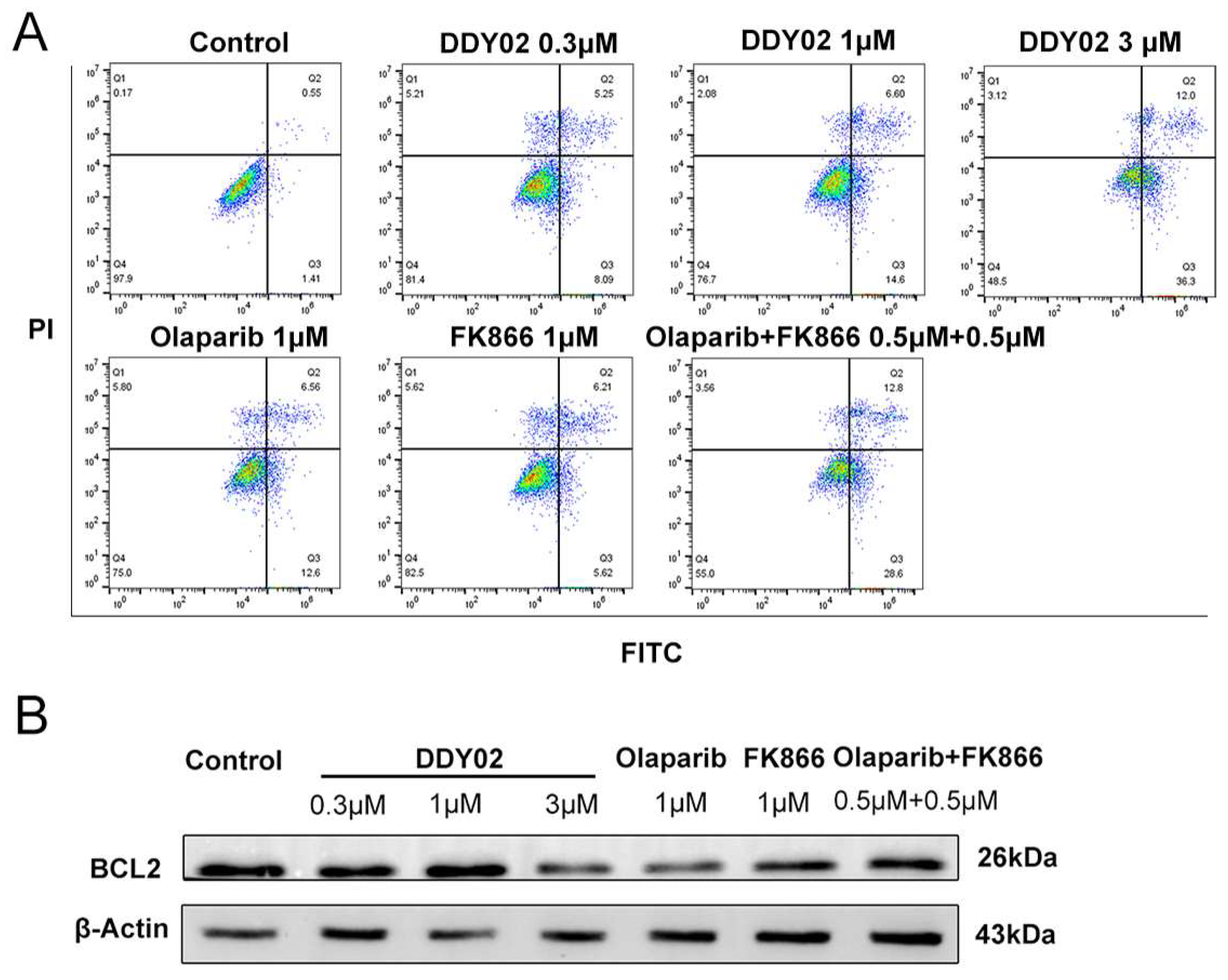 Molecules 29 02836 g010