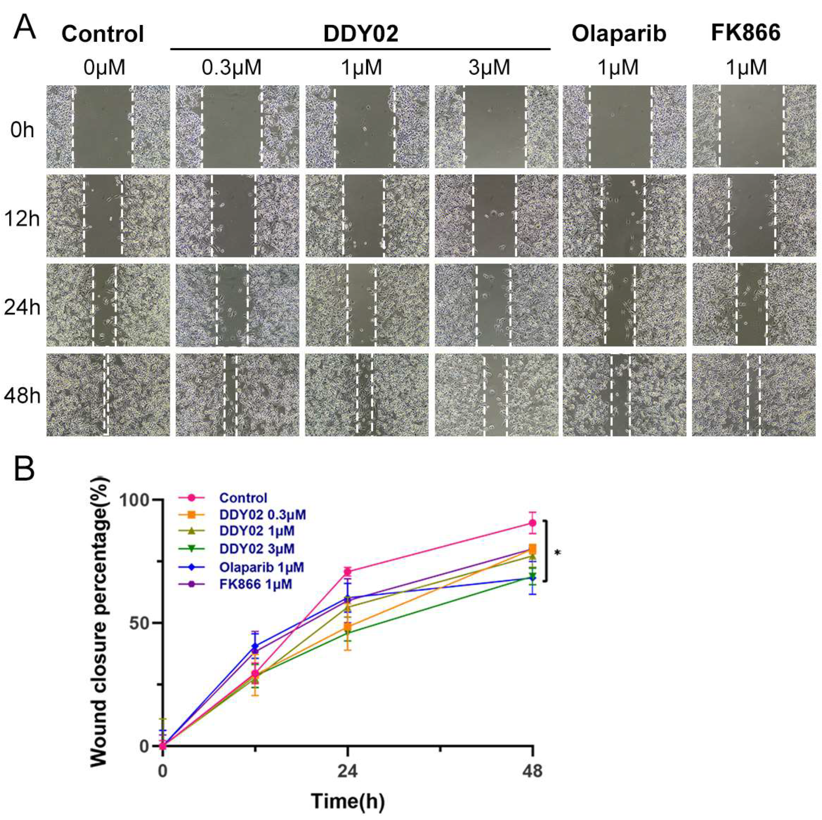 Molecules 29 02836 g011