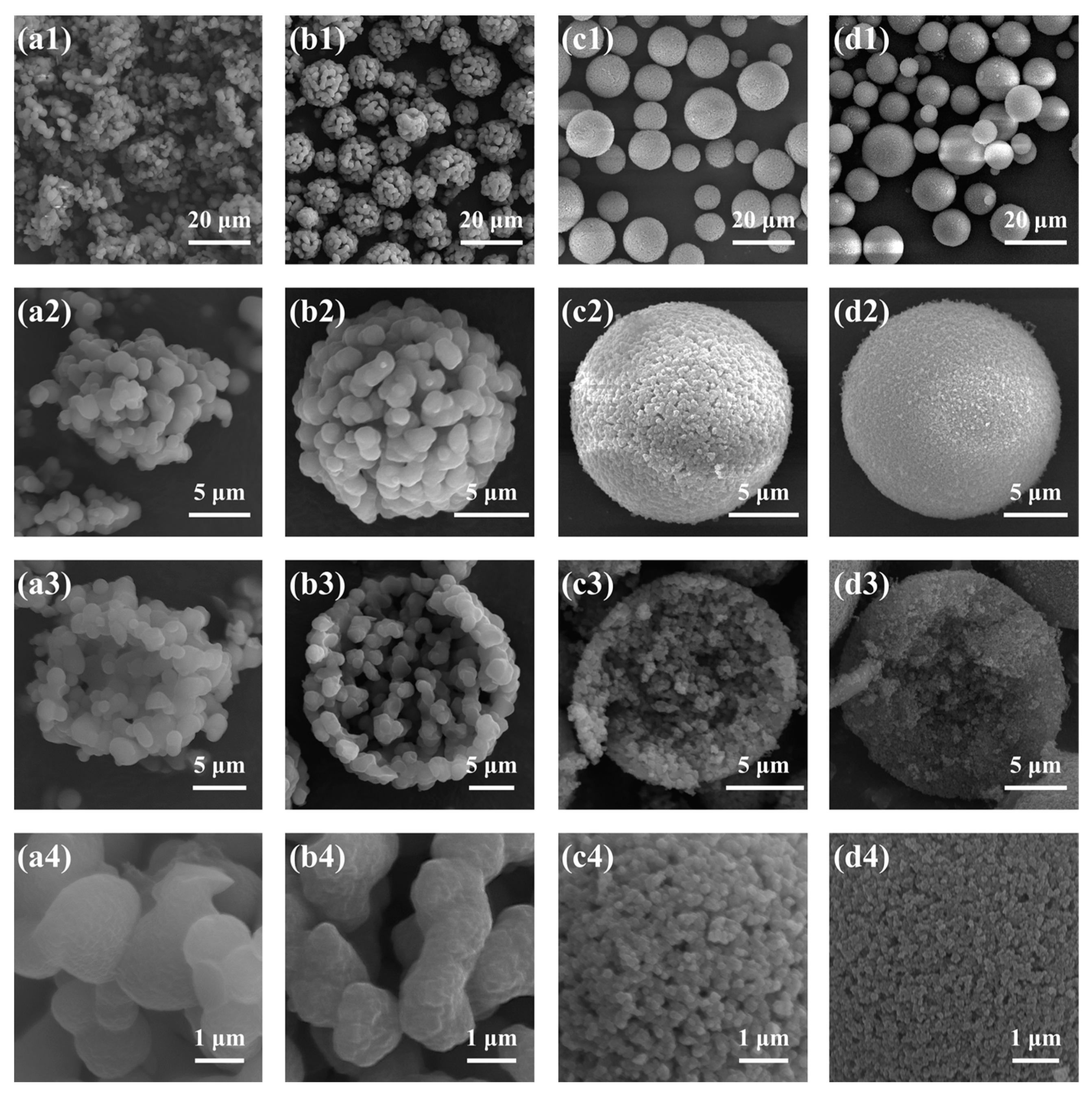Molecules 29 02841 g006