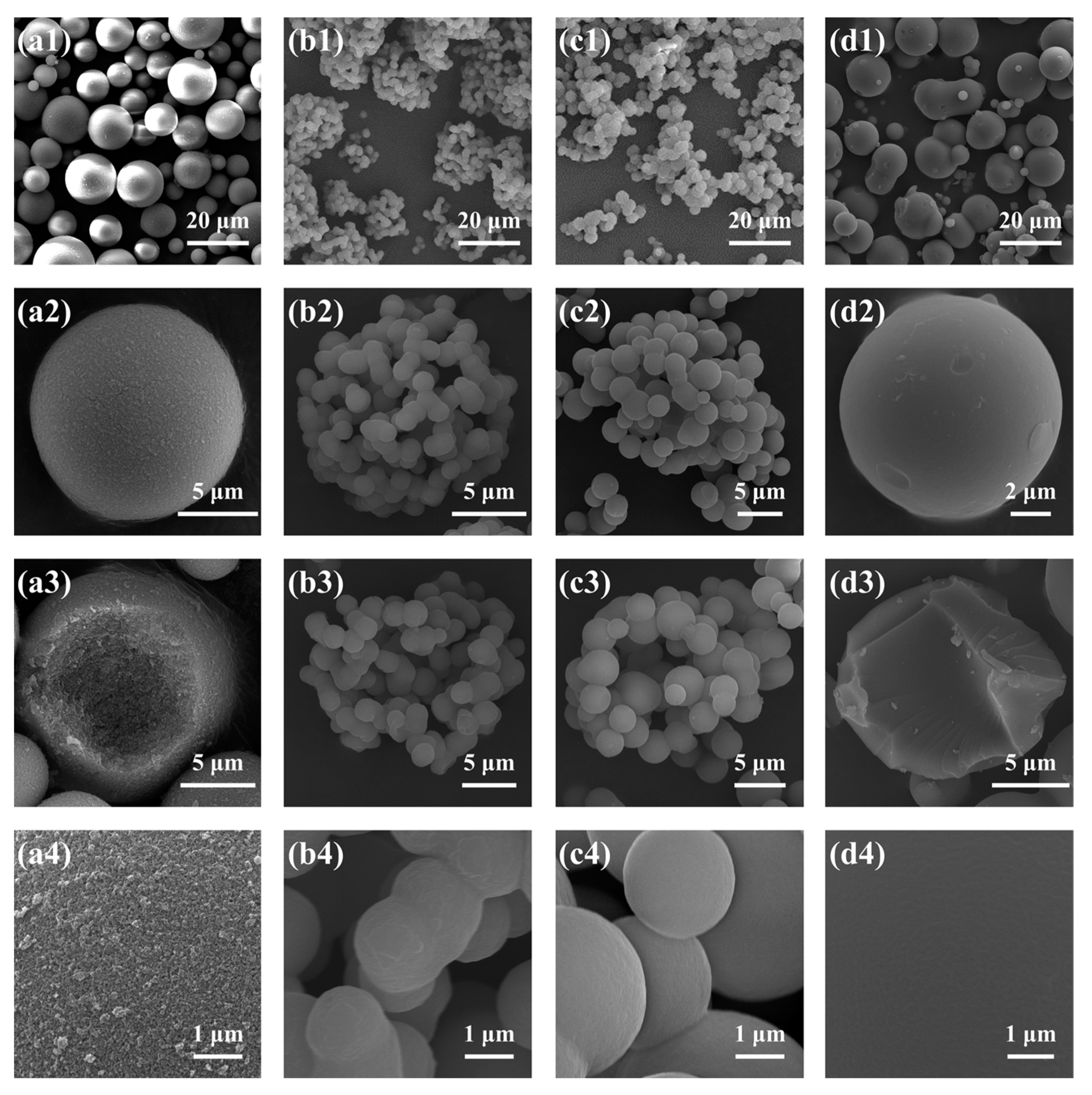 Molecules 29 02841 g008