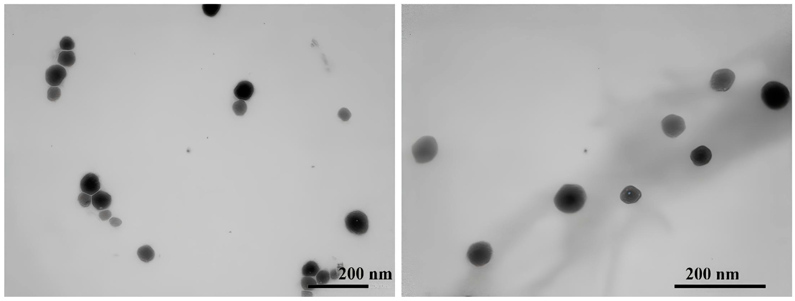 Molecules 29 02843 g004