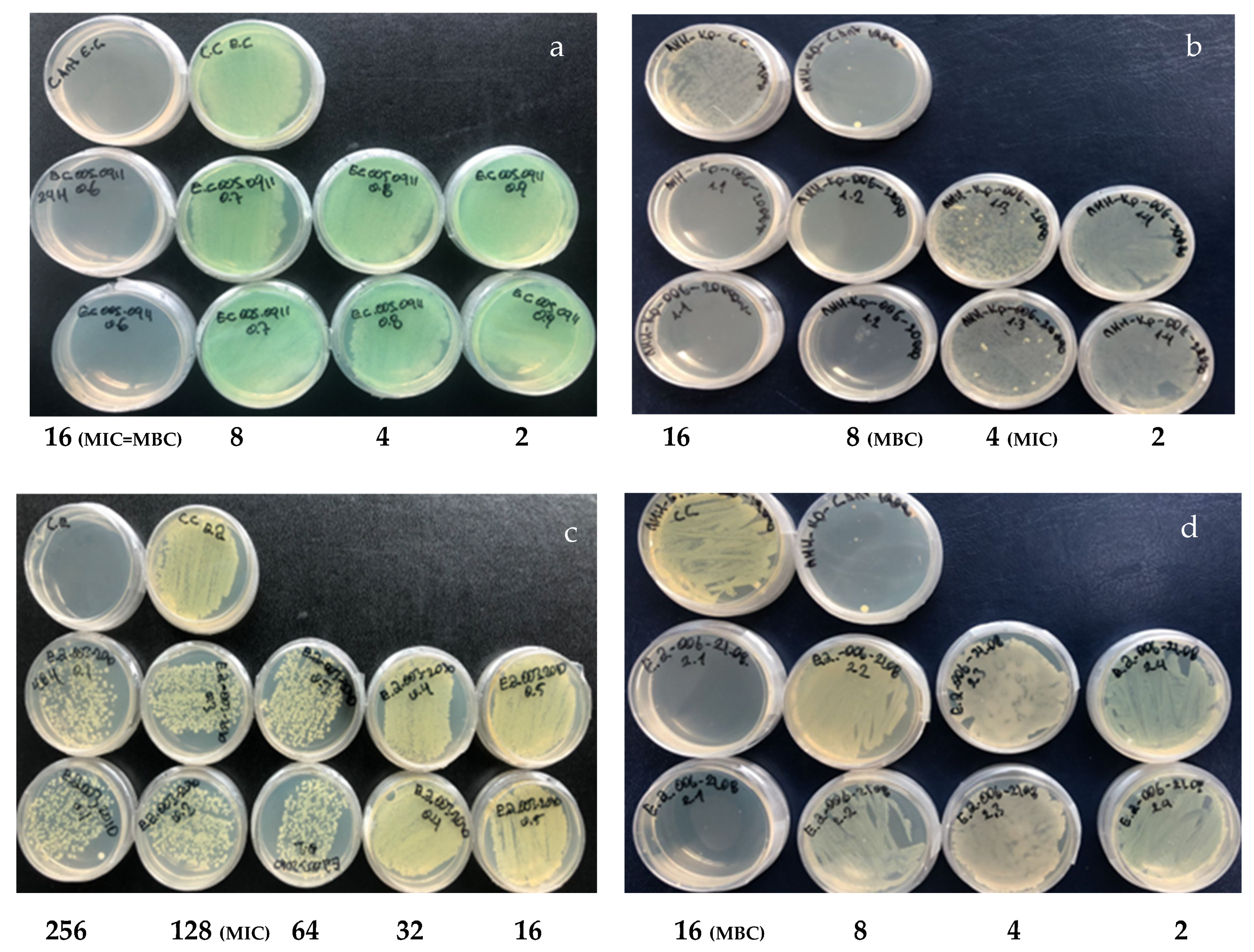 Molecules 29 02844 g002