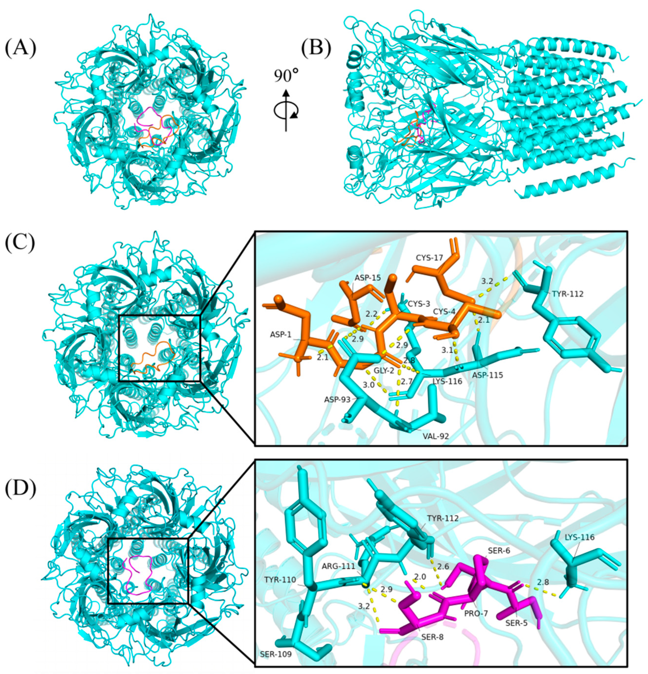 Molecules 29 02846 g007