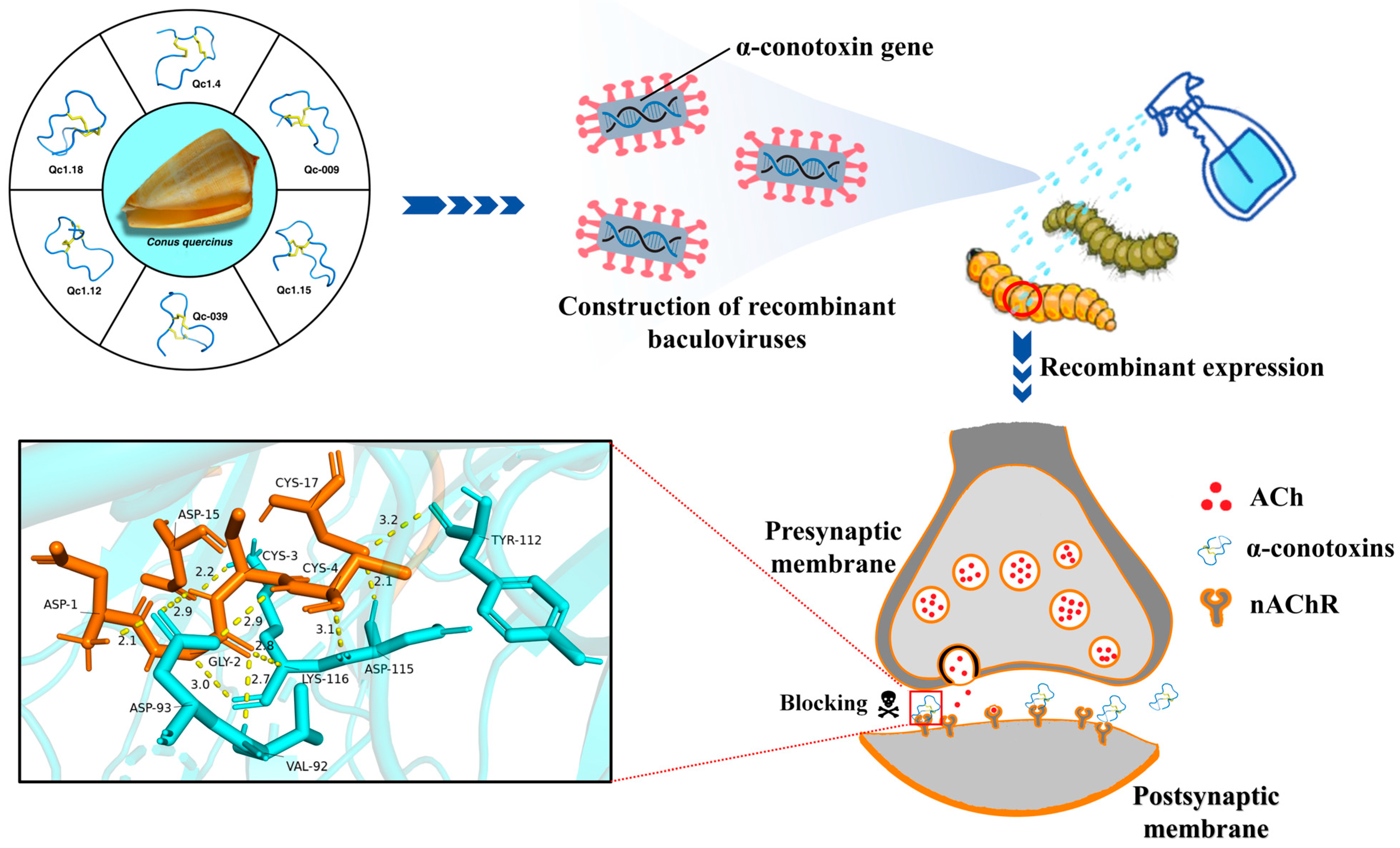 Molecules 29 02846 g008