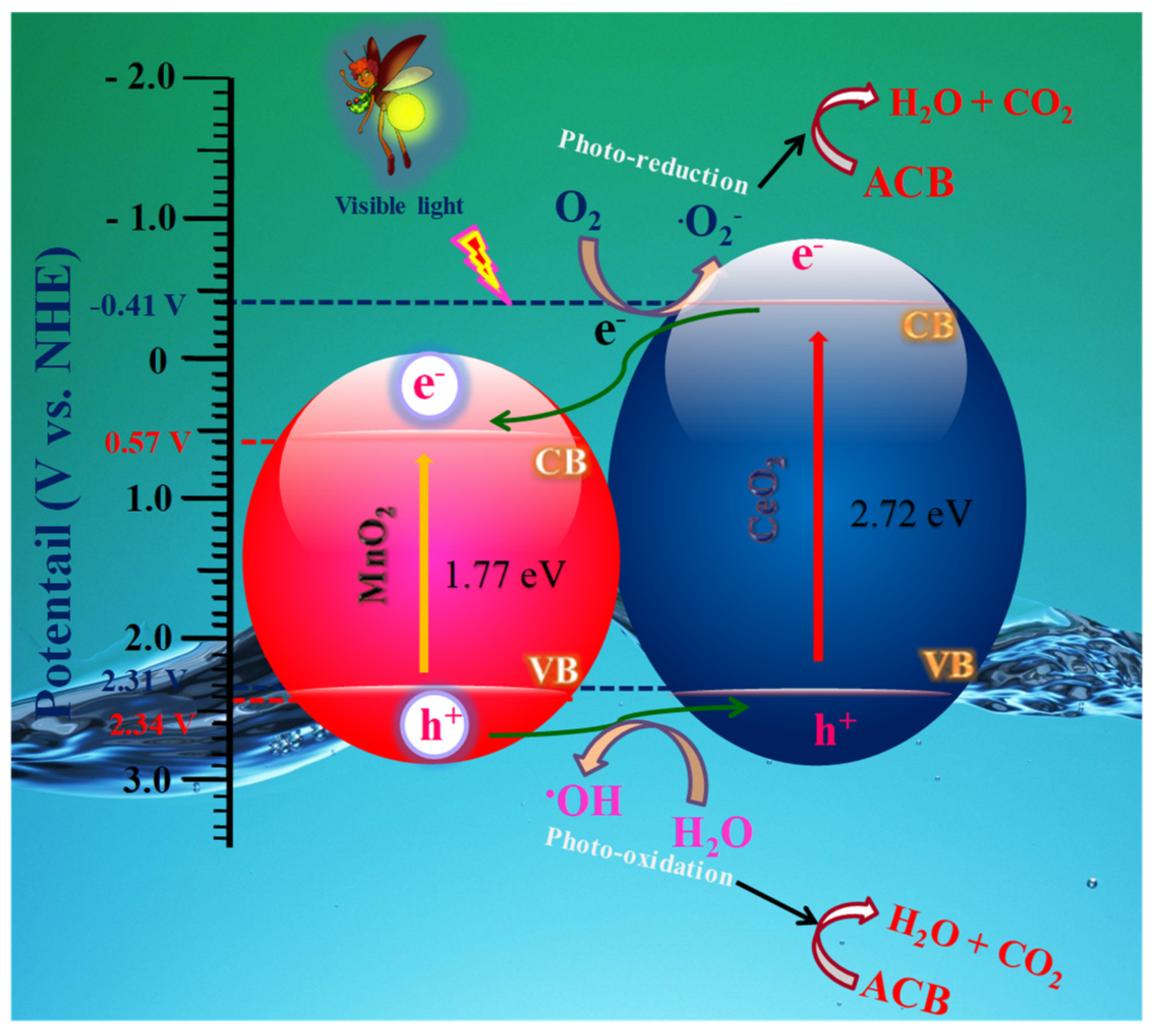 Molecules 29 02854 g007