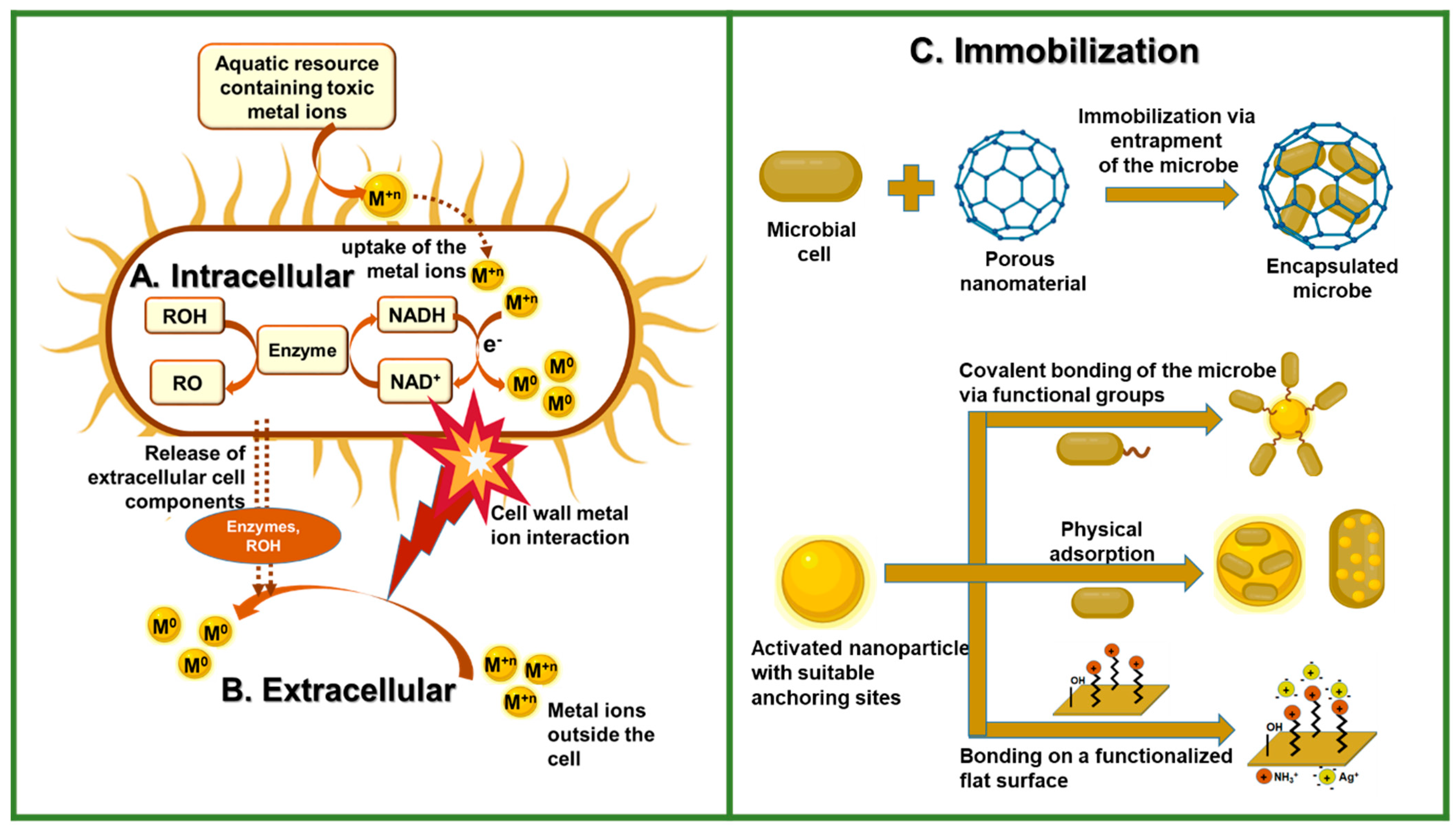 Molecules 29 02858 g003 Molecules 29 02858 g003