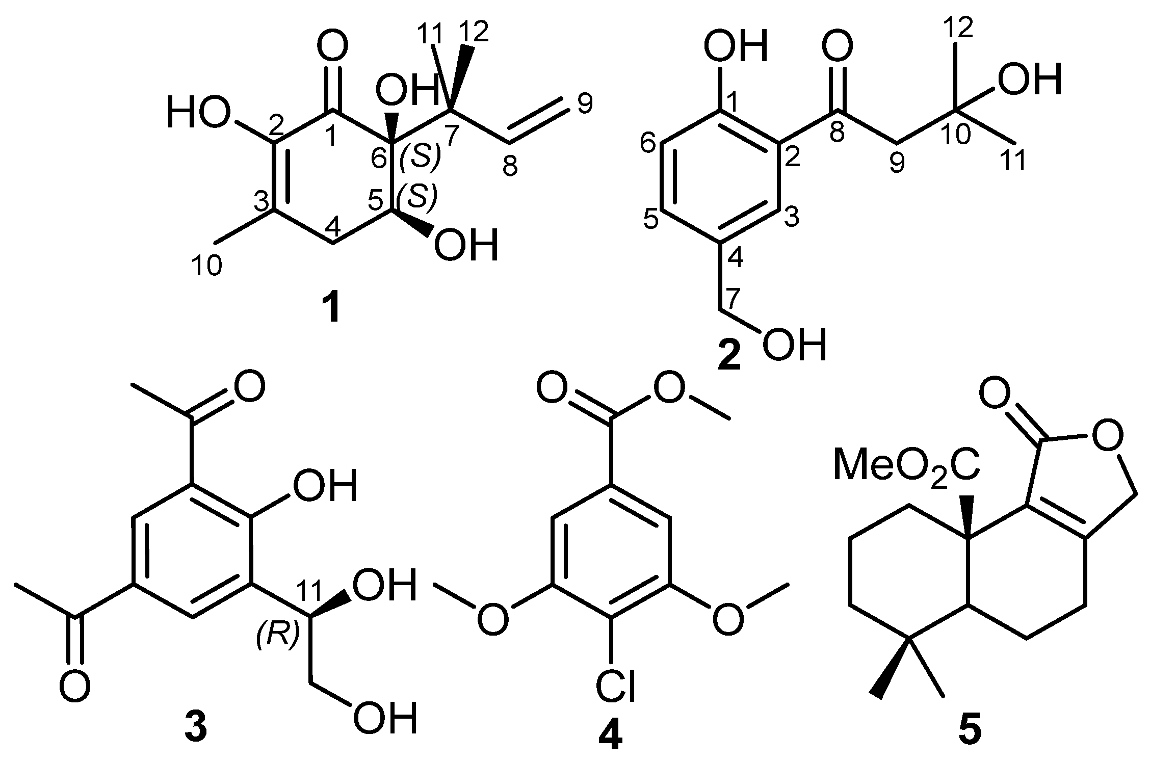 Molecules 29 02859 g001