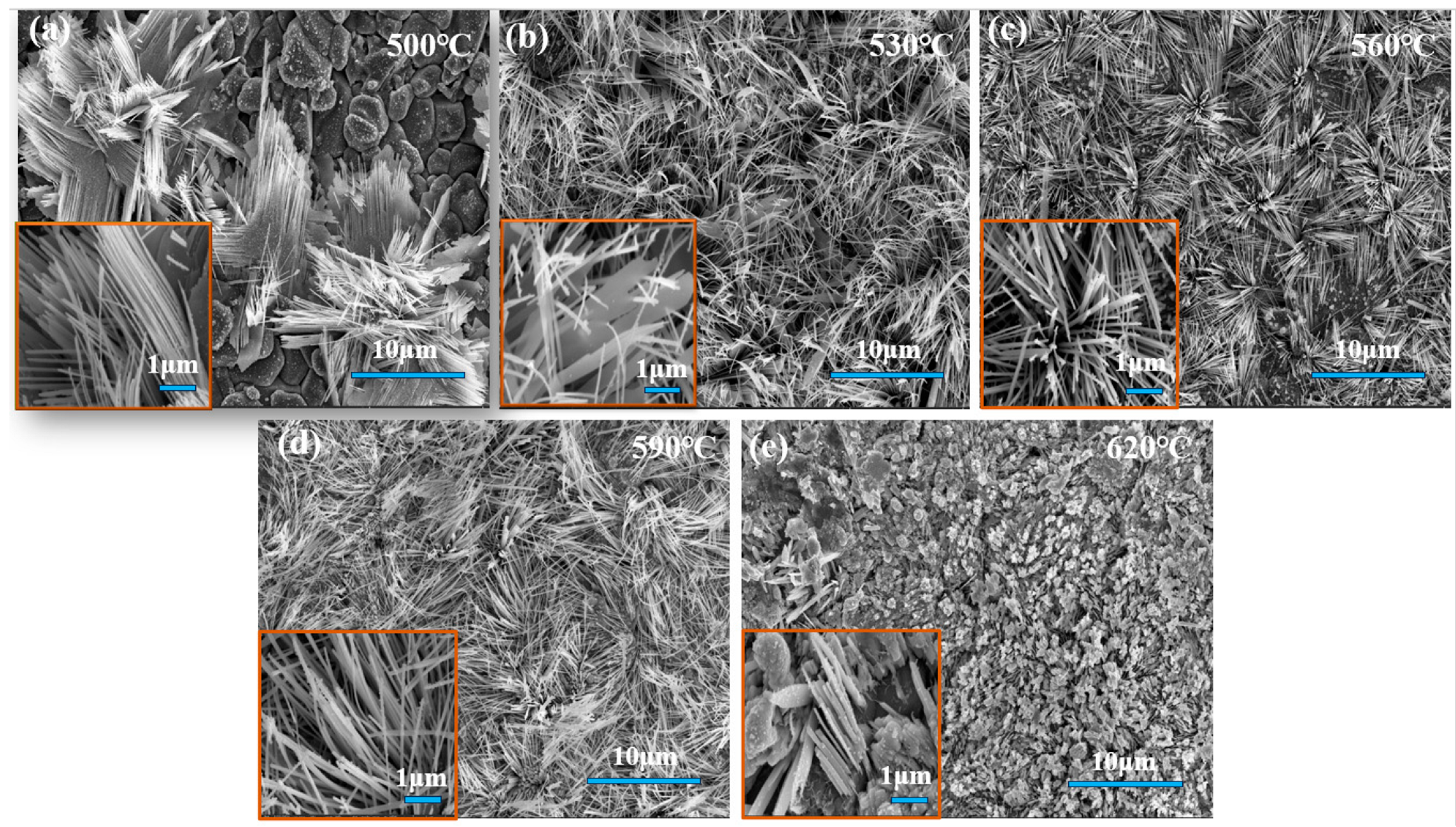 Molecules 29 02860 g002