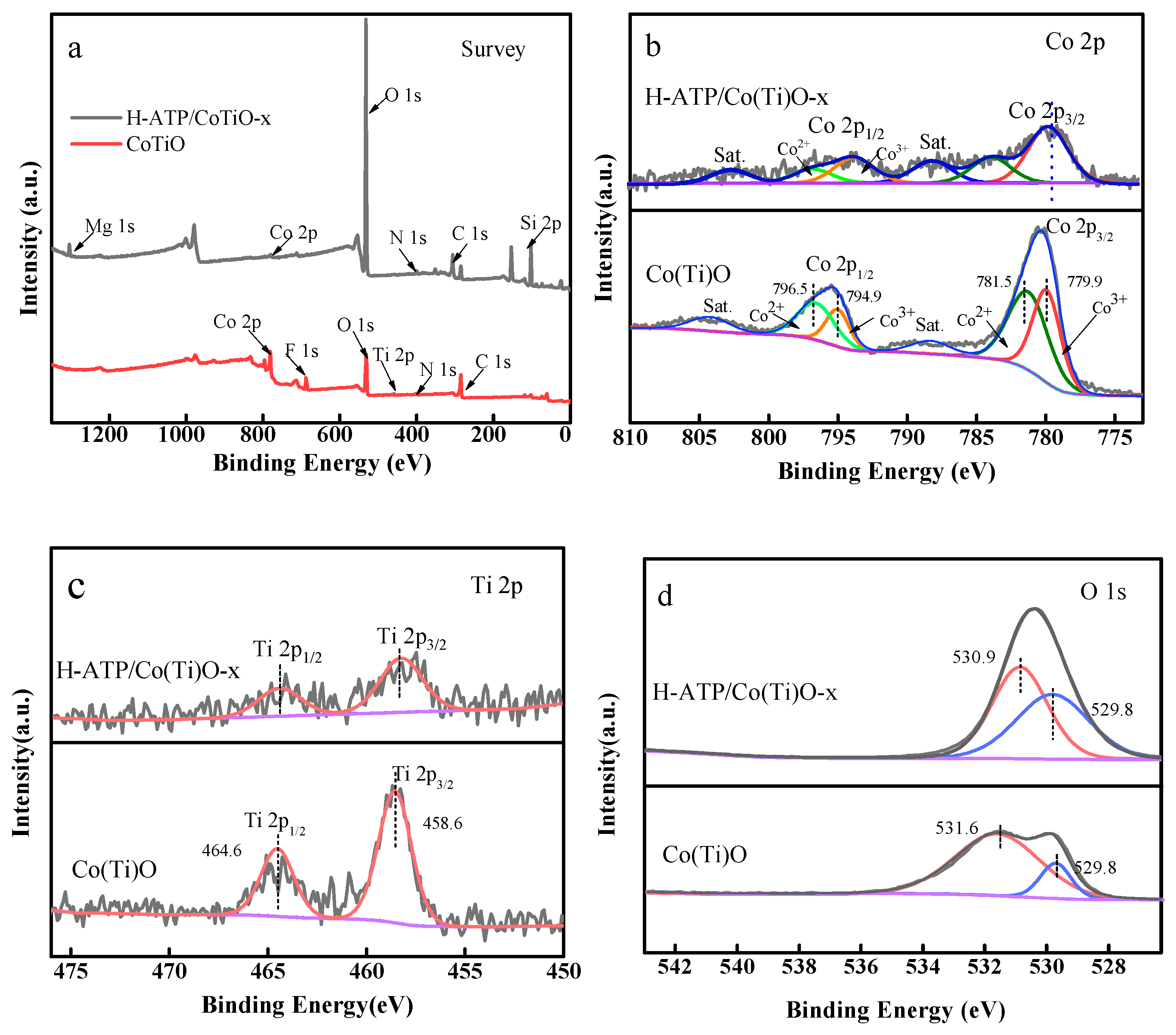 Molecules 29 02865 g005
