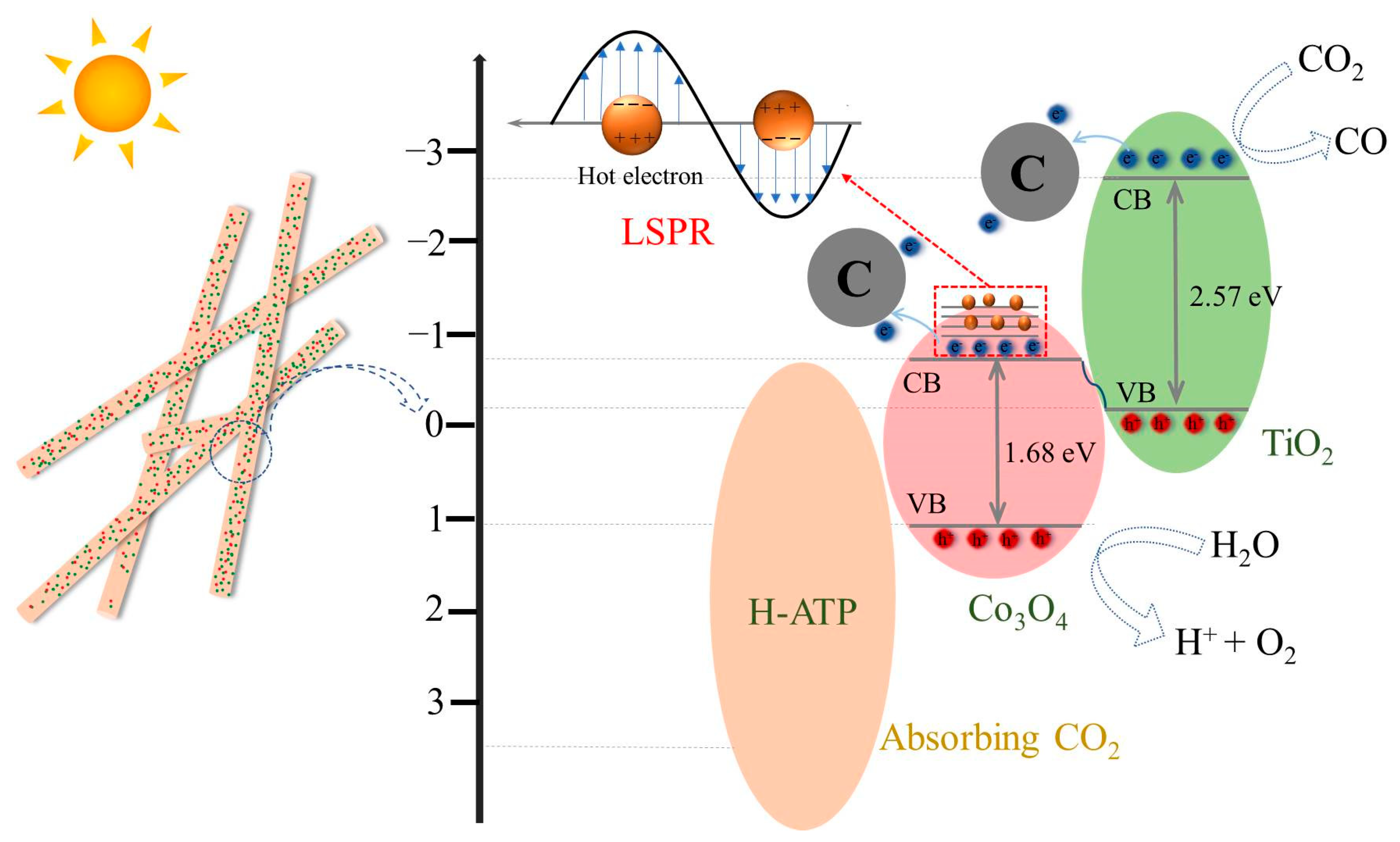 Molecules 29 02865 g010