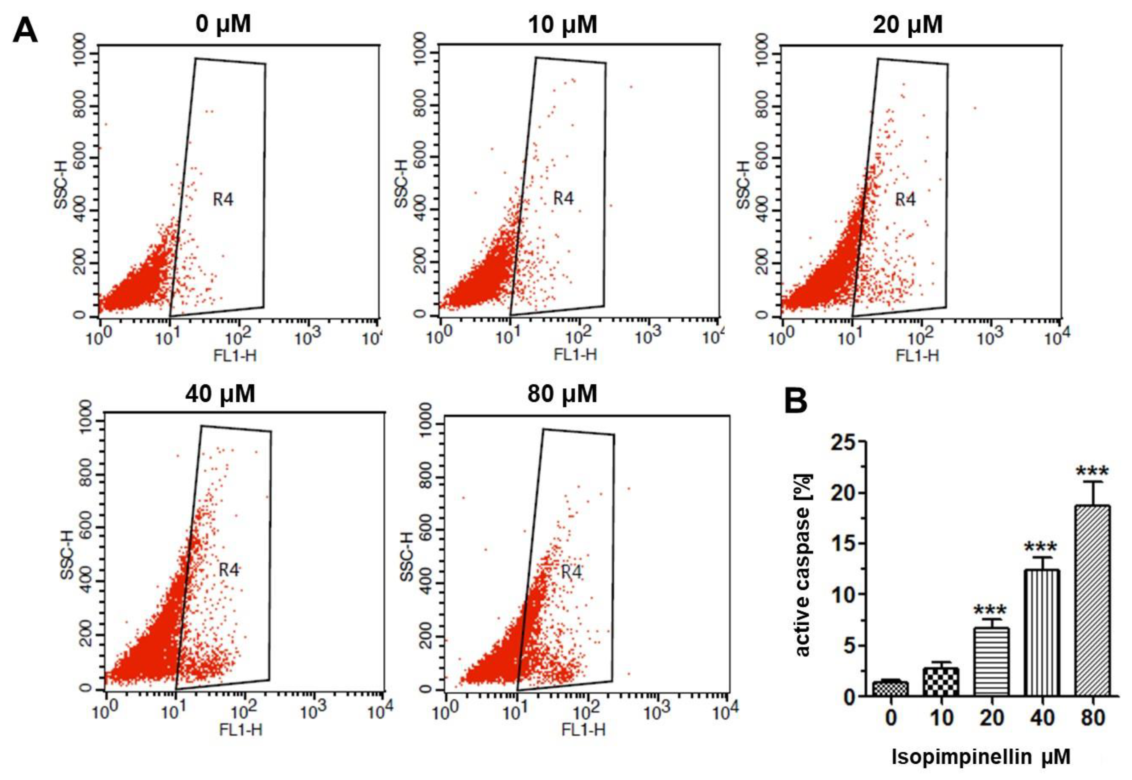 Molecules 29 02874 g011
