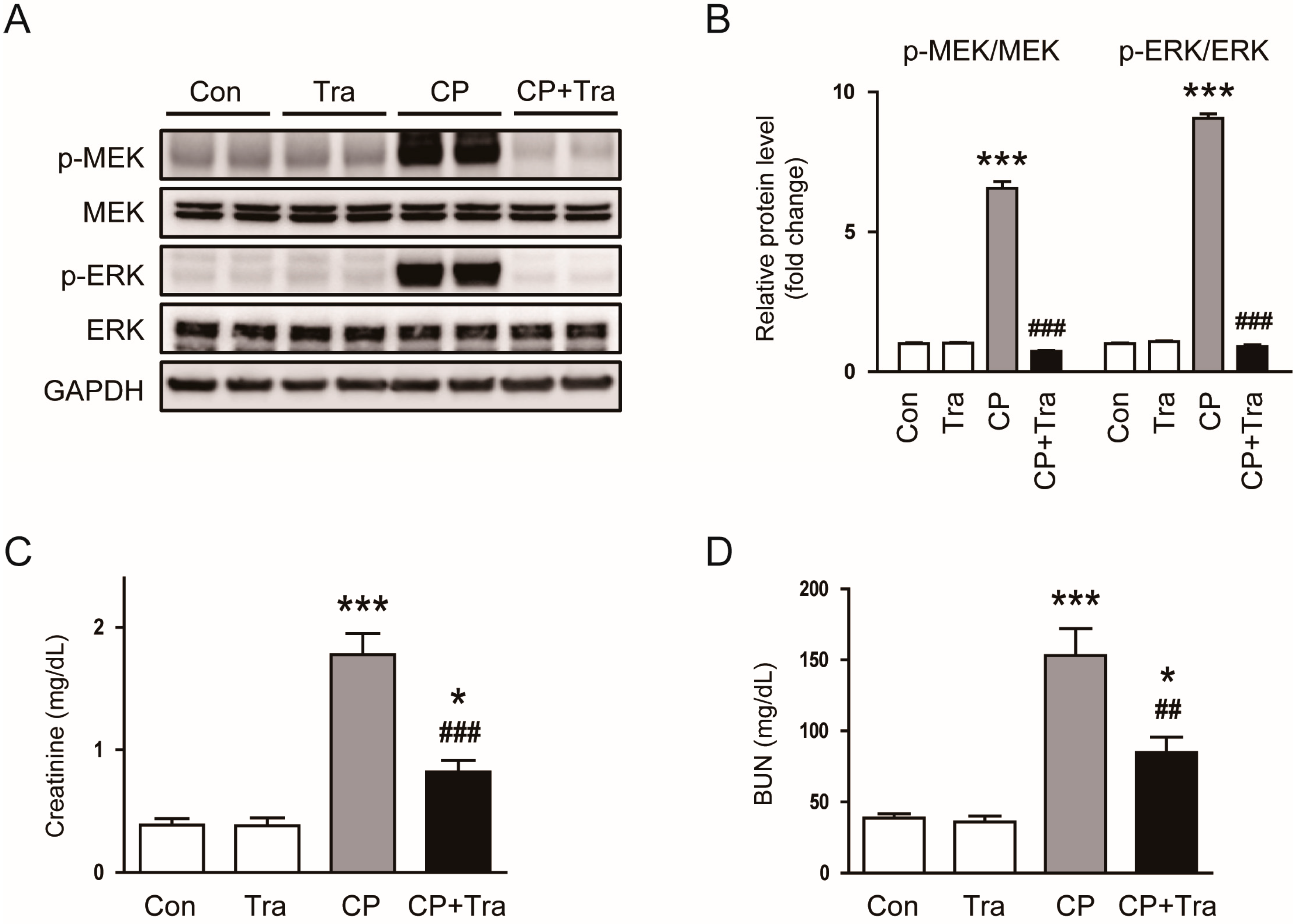Molecules 29 02881 g001