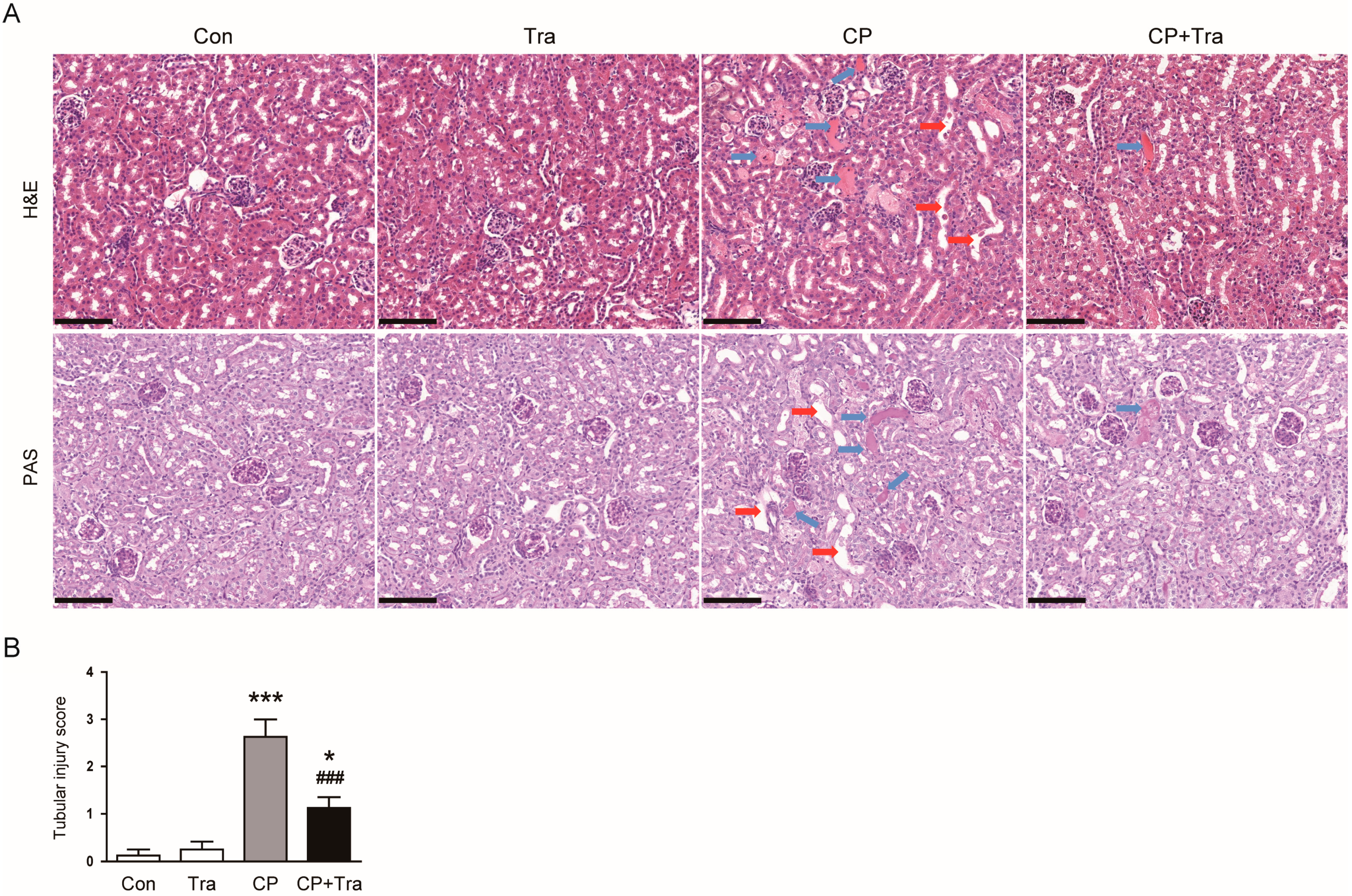 Molecules 29 02881 g002