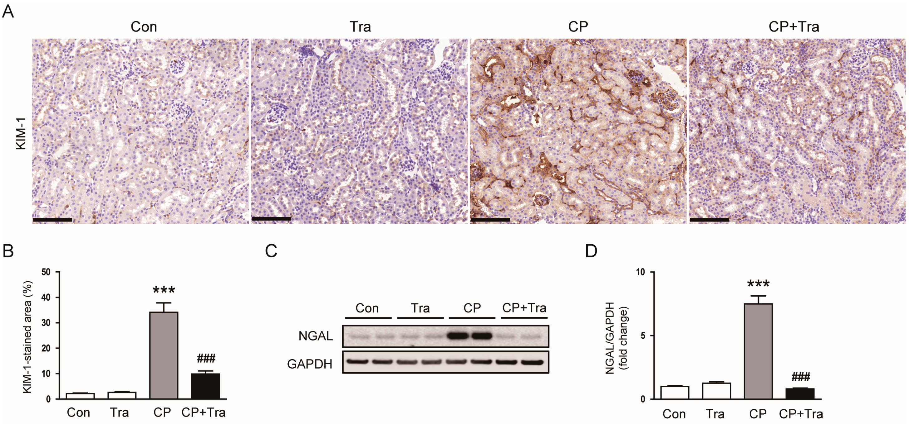 Molecules 29 02881 g003