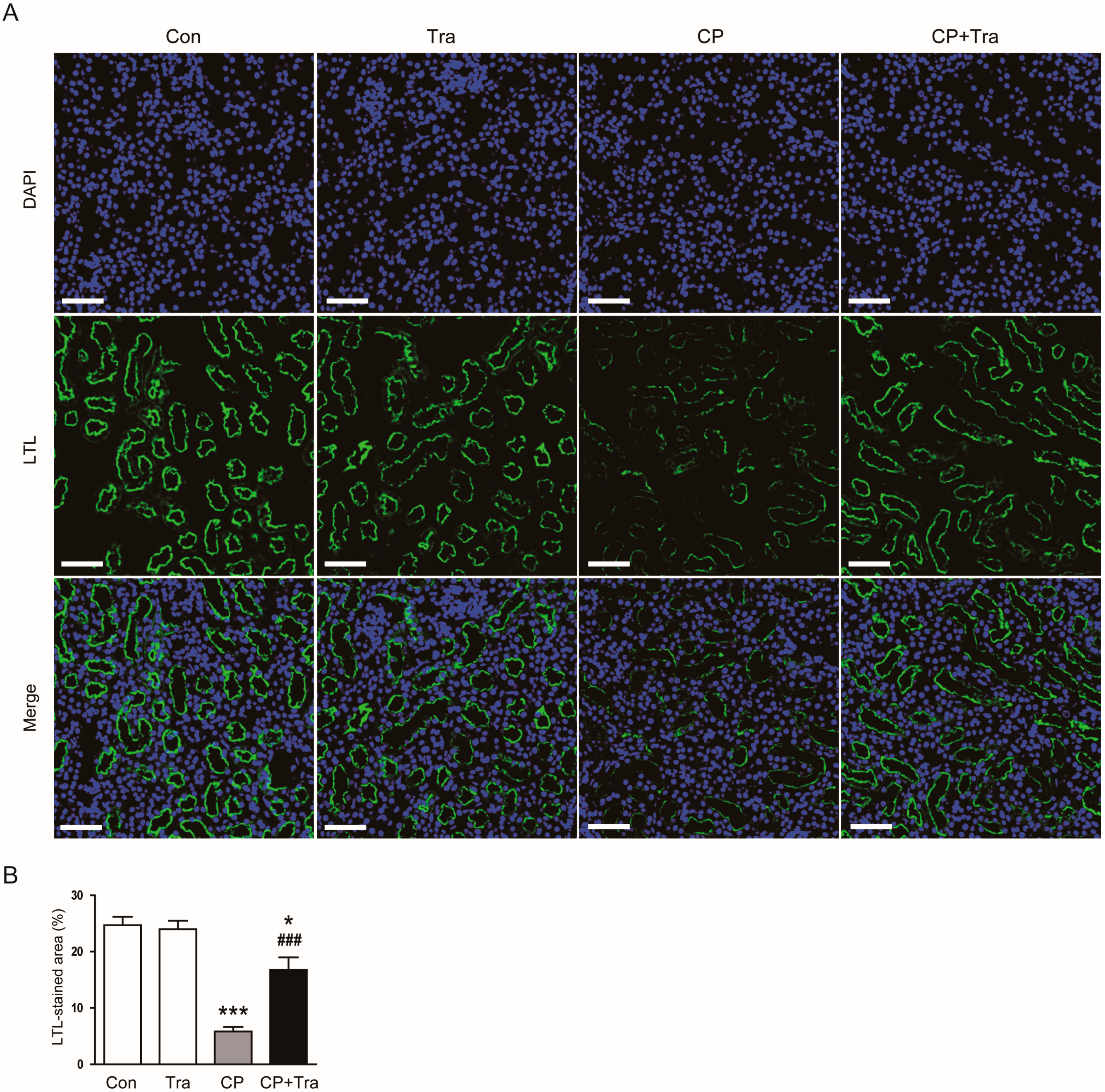 Molecules 29 02881 g004