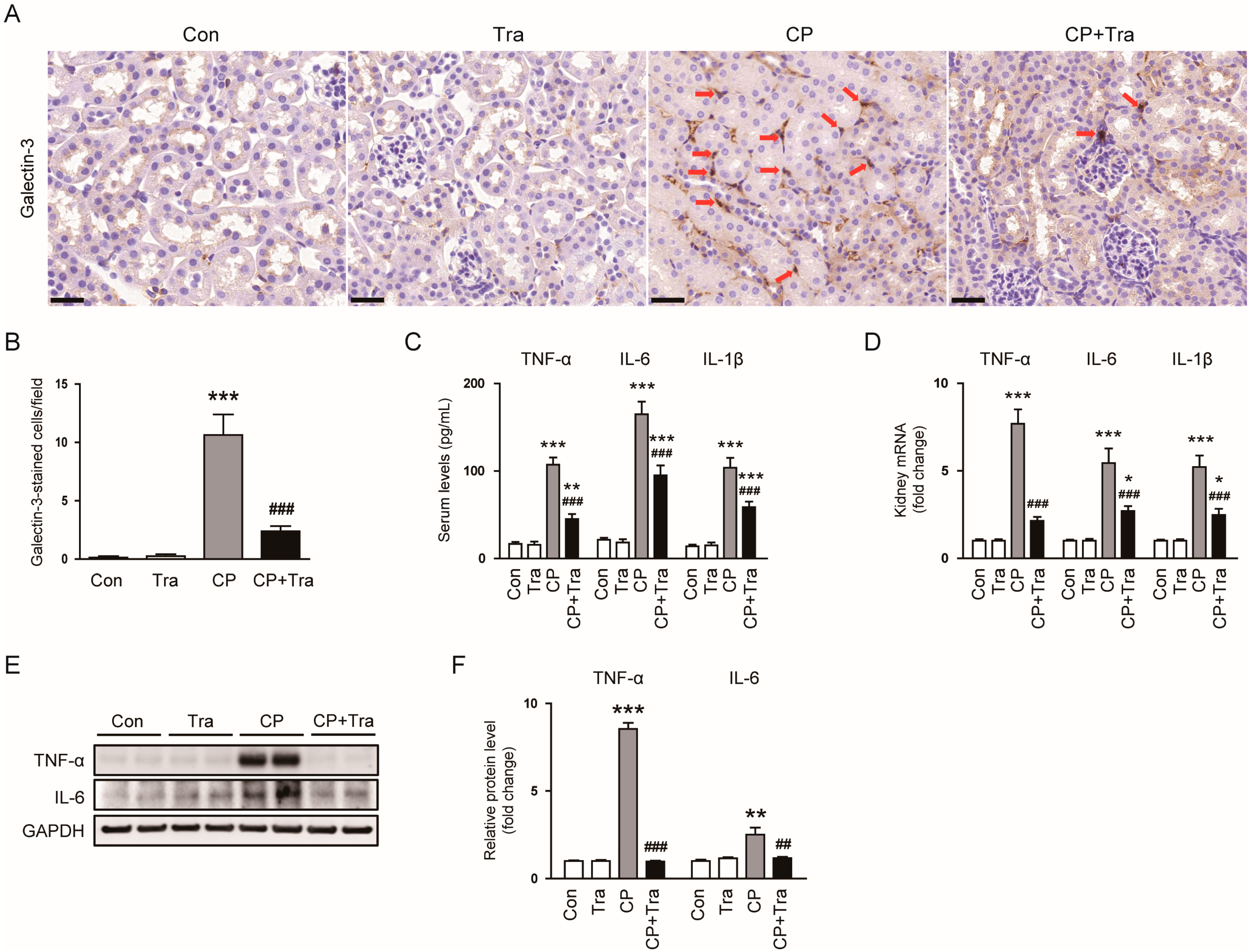 Molecules 29 02881 g005