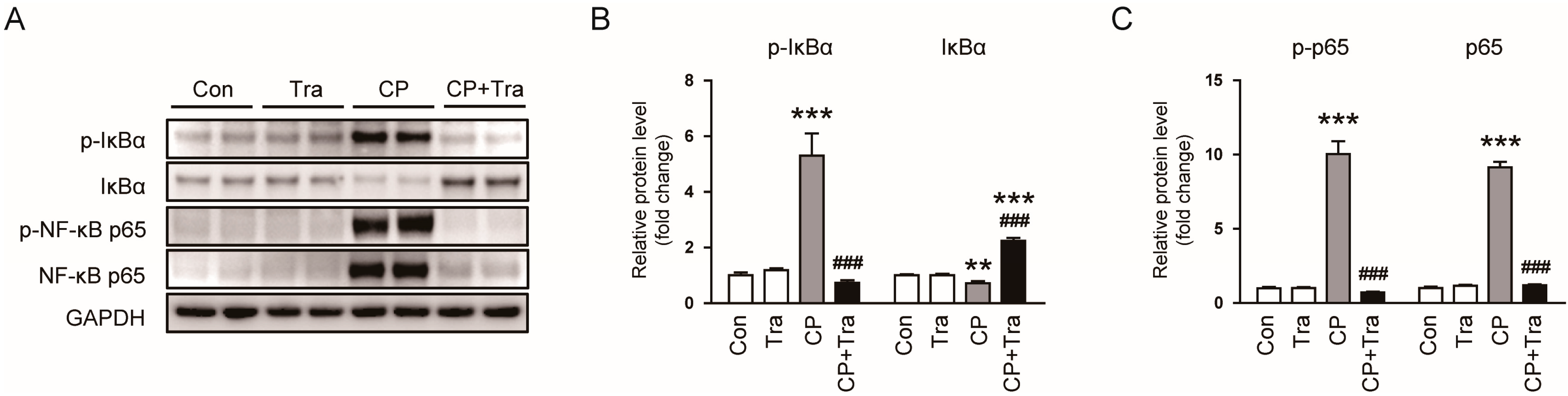 Molecules 29 02881 g006