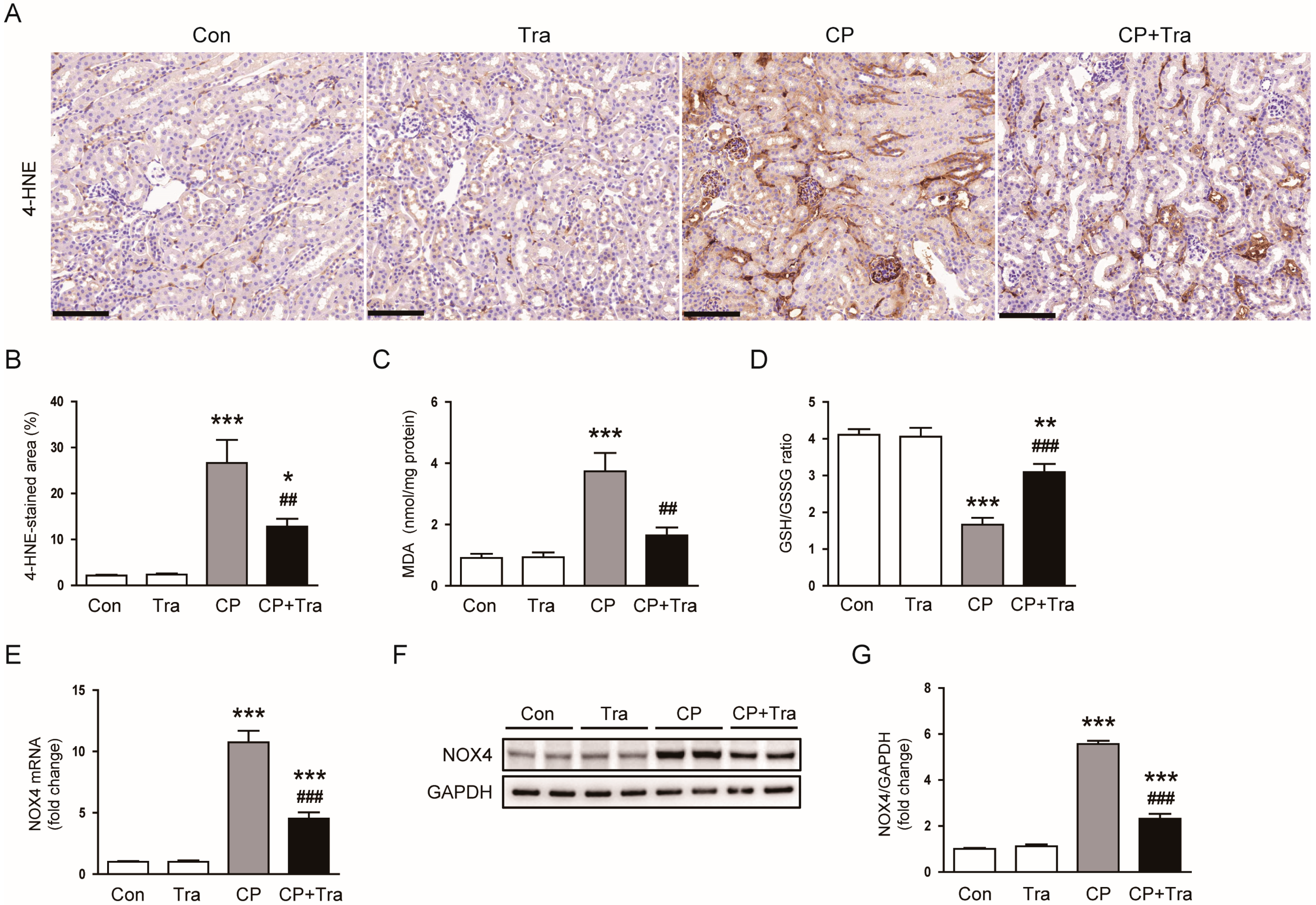 Molecules 29 02881 g007