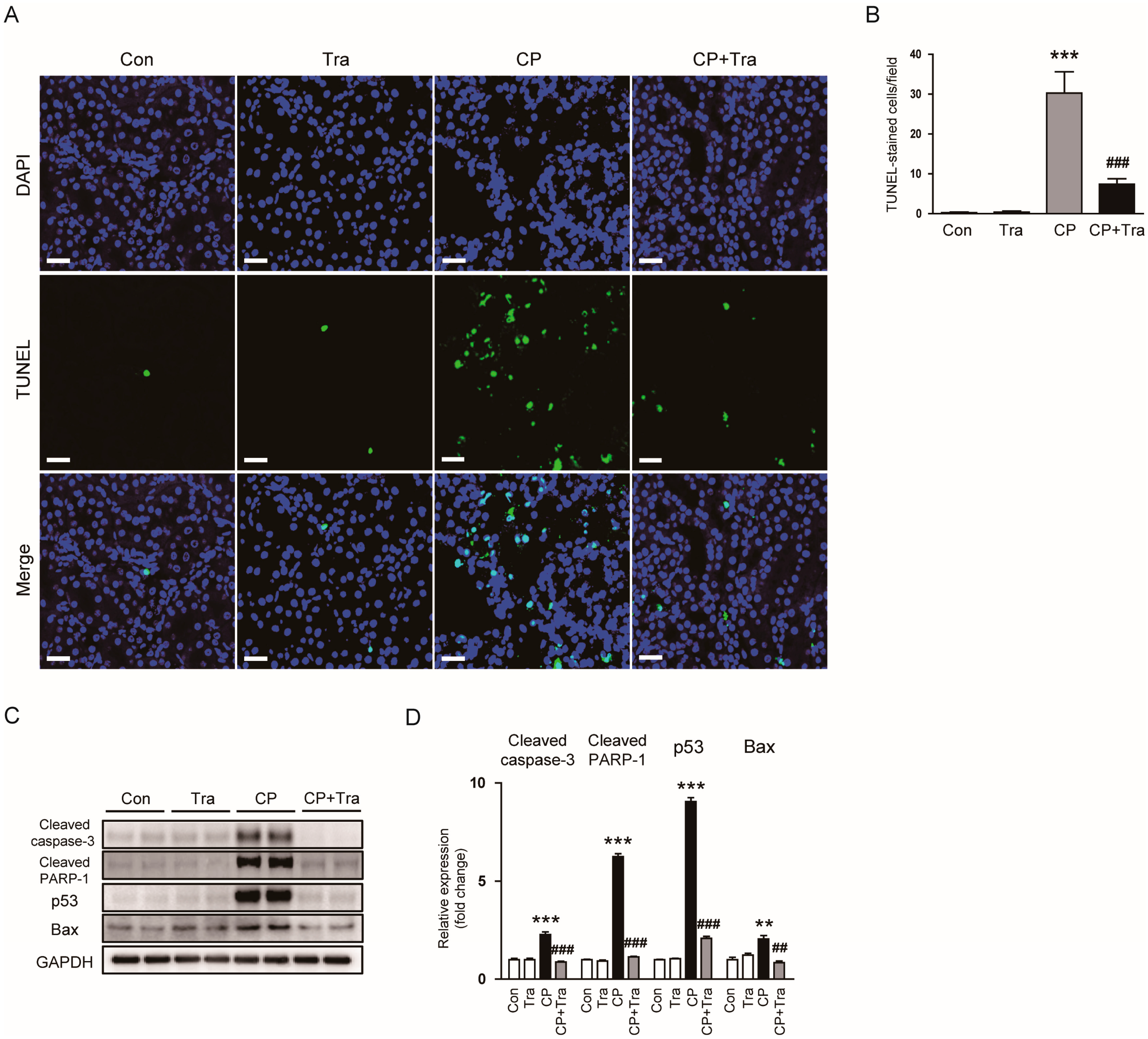 Molecules 29 02881 g008