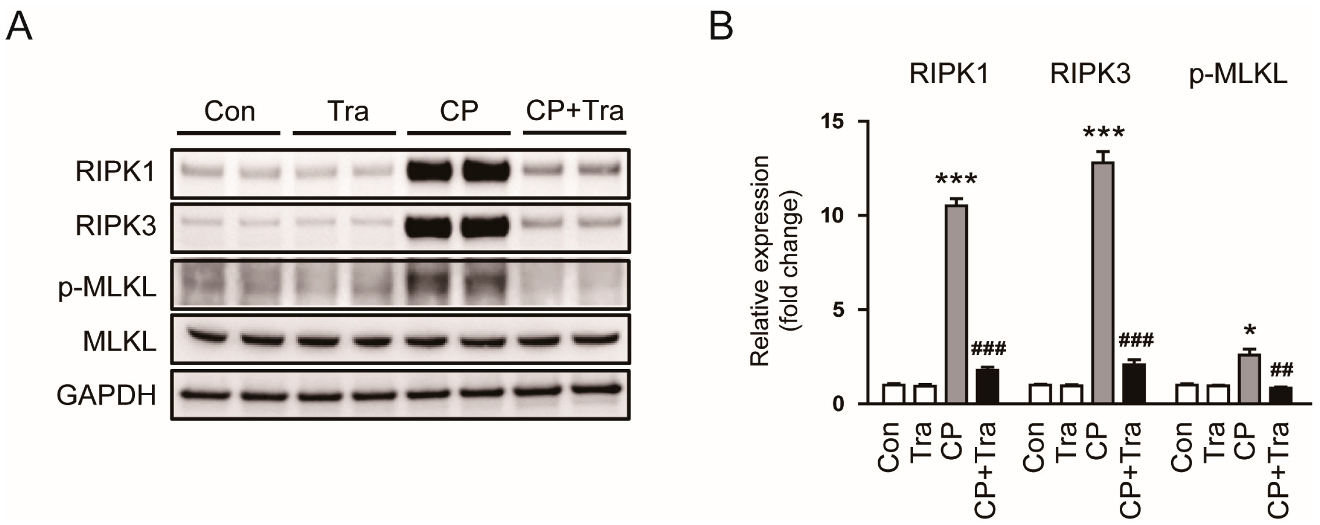 Molecules 29 02881 g009