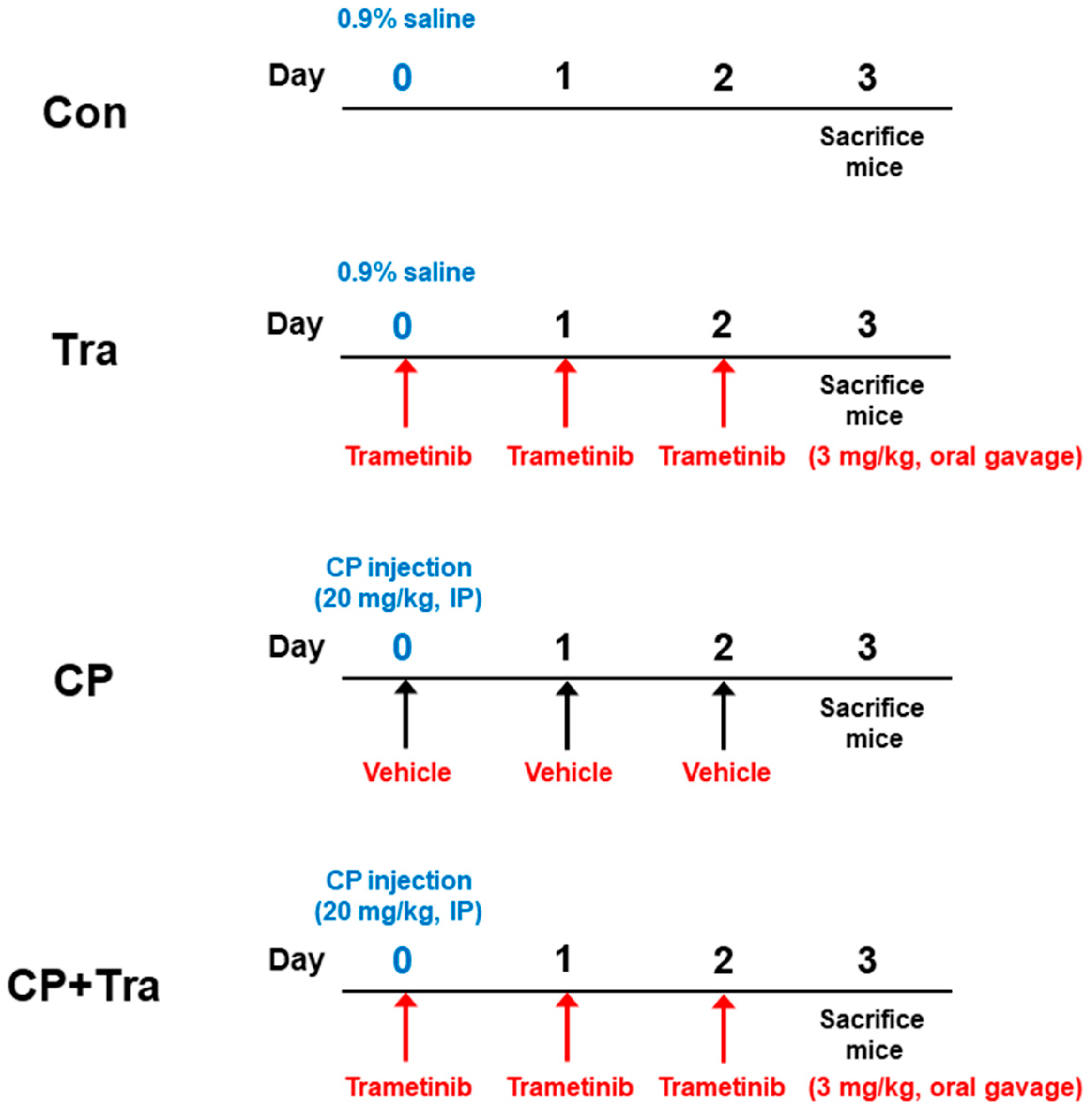 Molecules 29 02881 g010