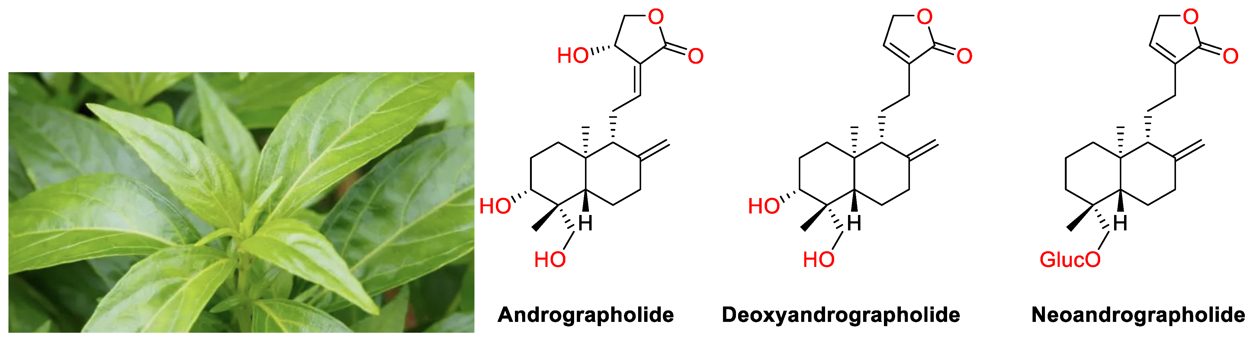 Molecules 29 02884 g001
