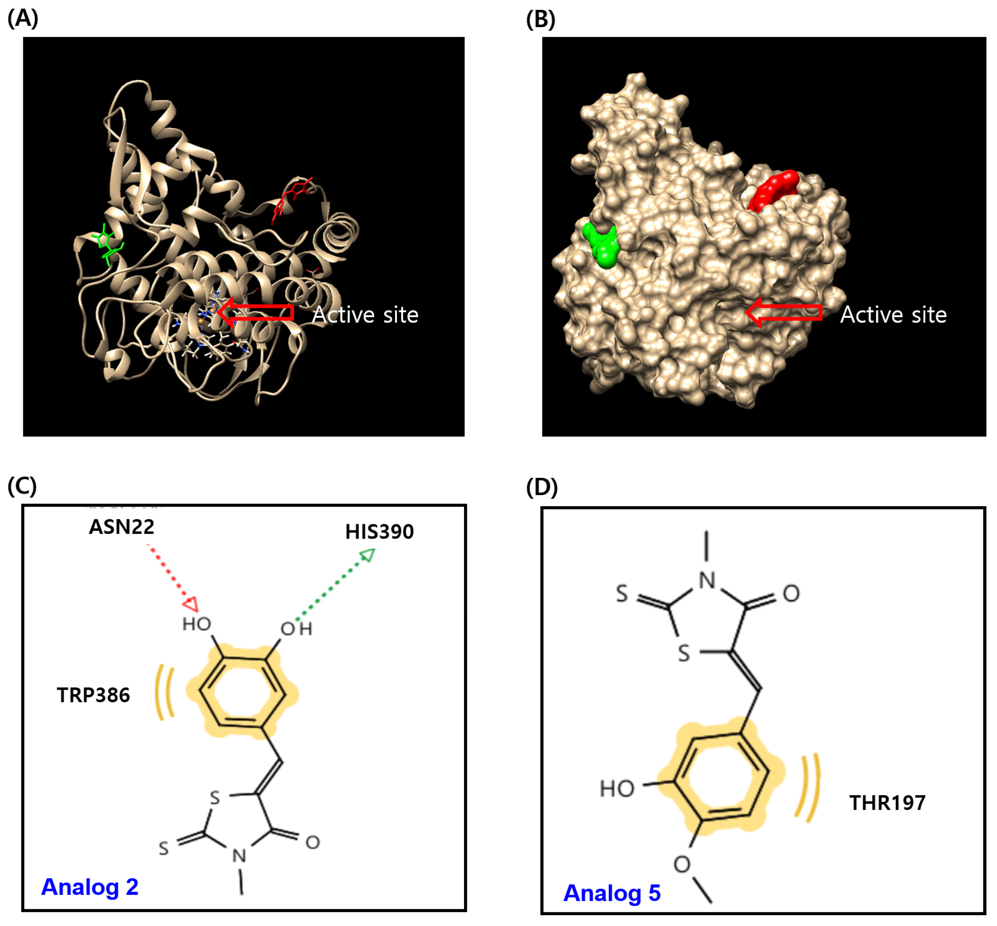 Molecules 29 02887 g005