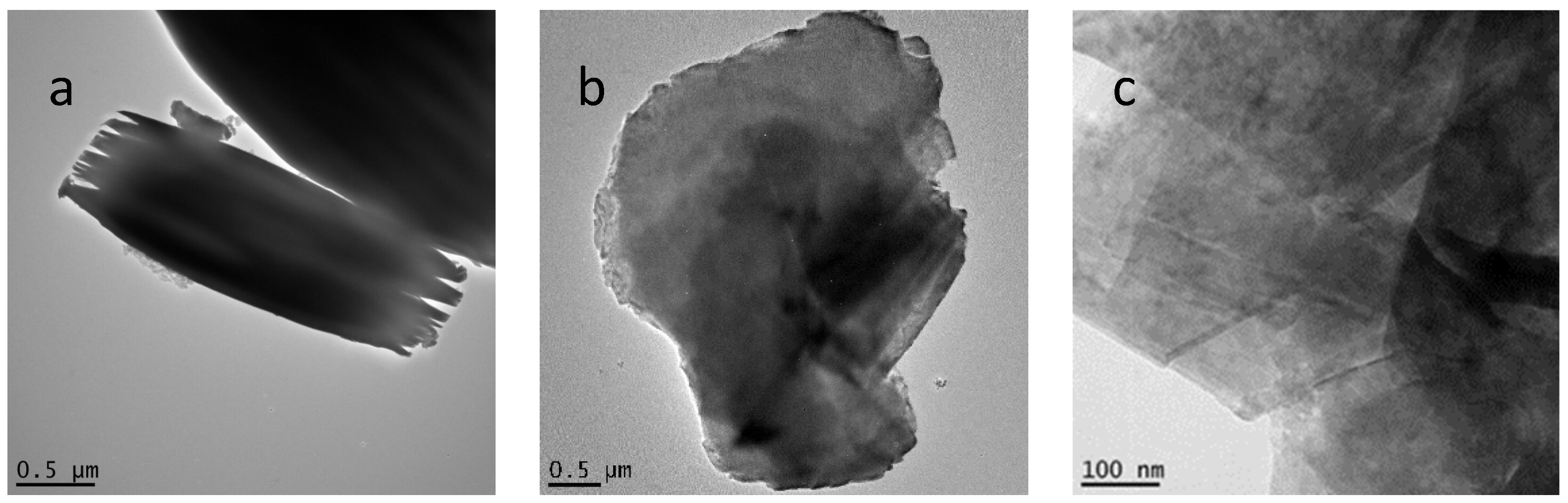 Molecules 29 02888 g003