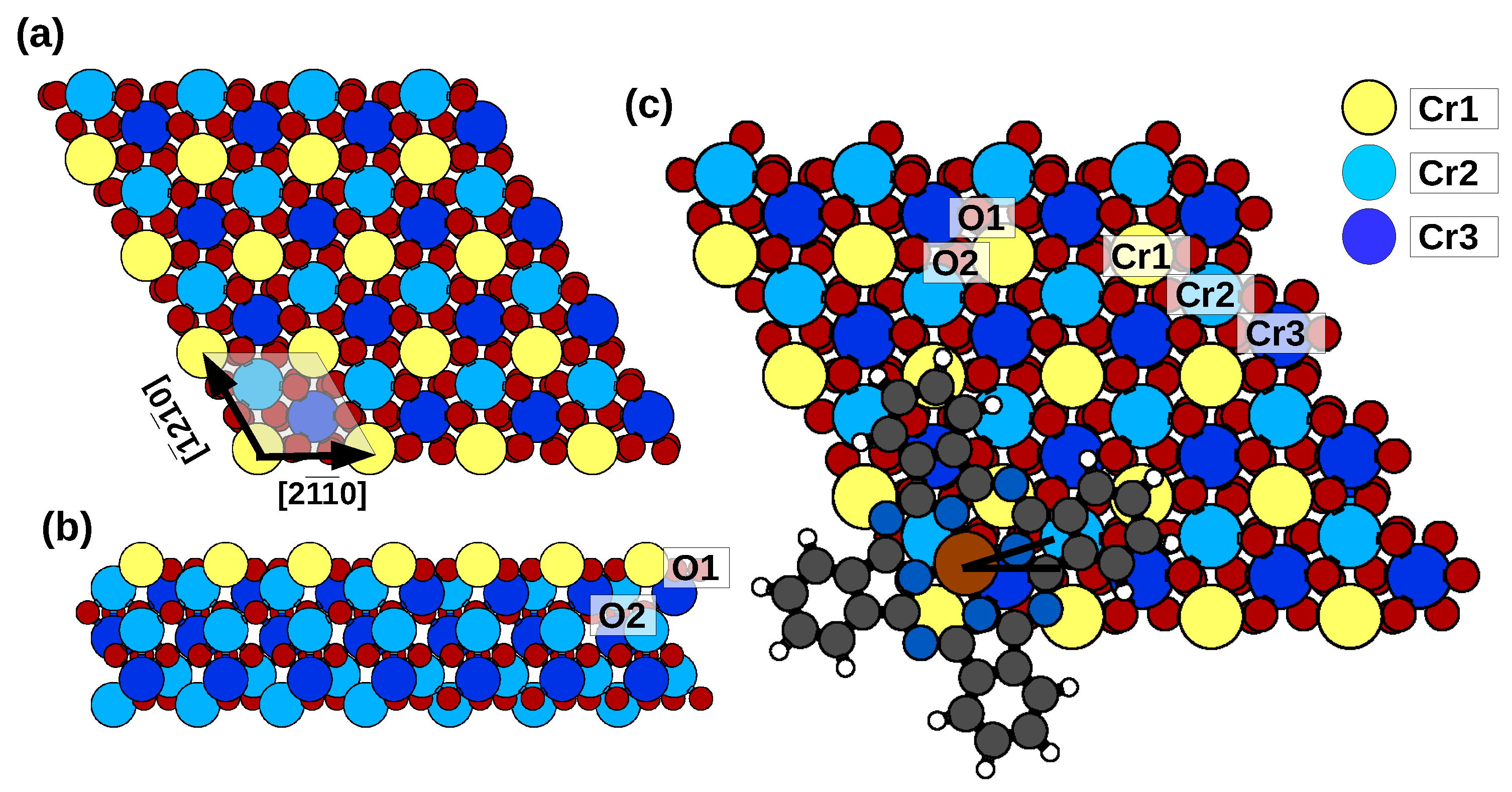 Molecules 29 02889 g001