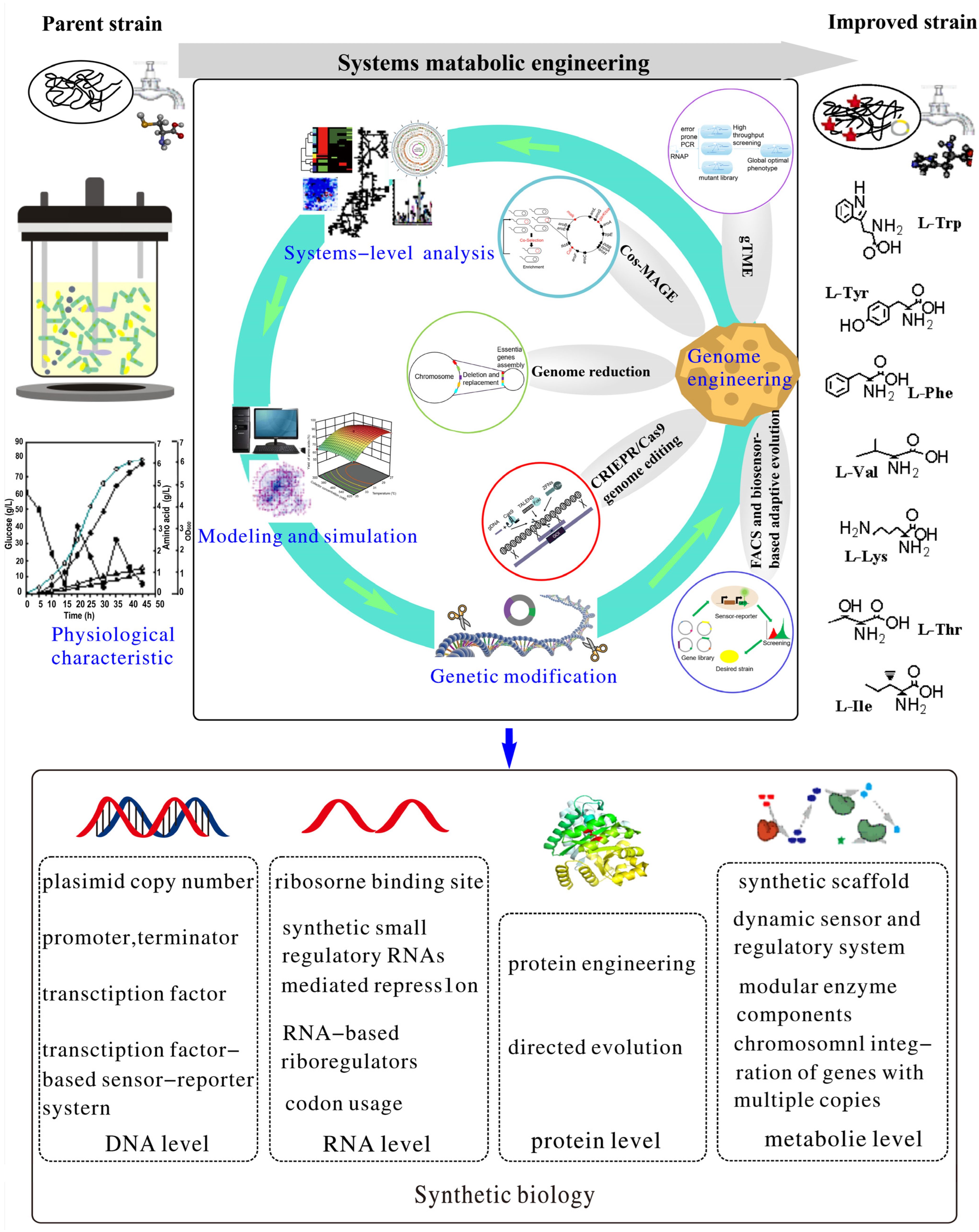 Molecules 29 02893 g004 Molecules 29 02893 g004