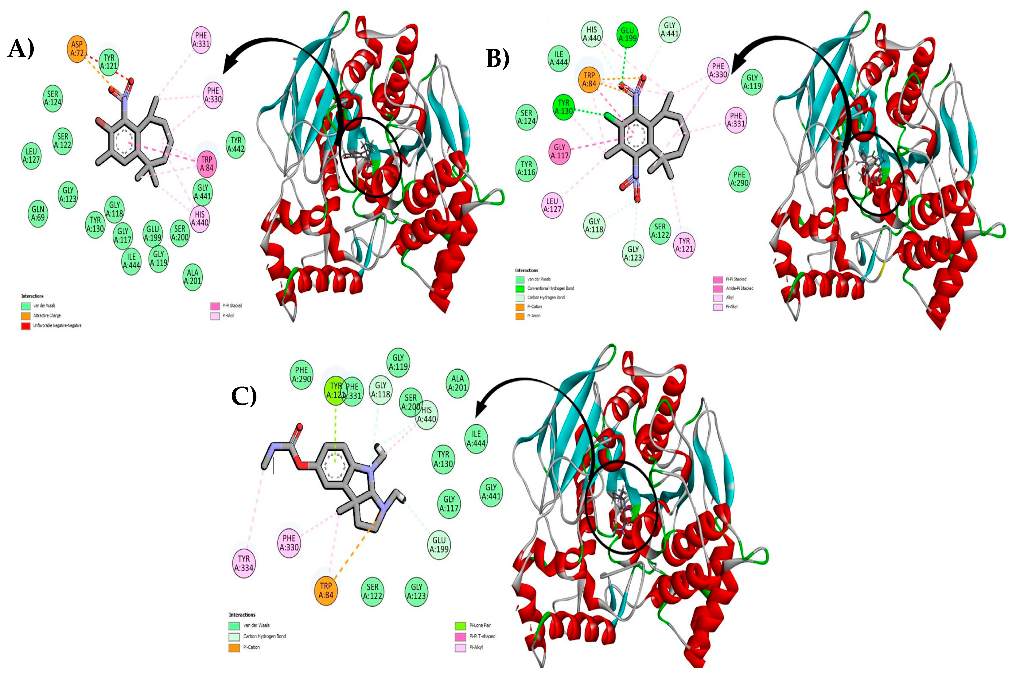 Molecules 29 02894 g017