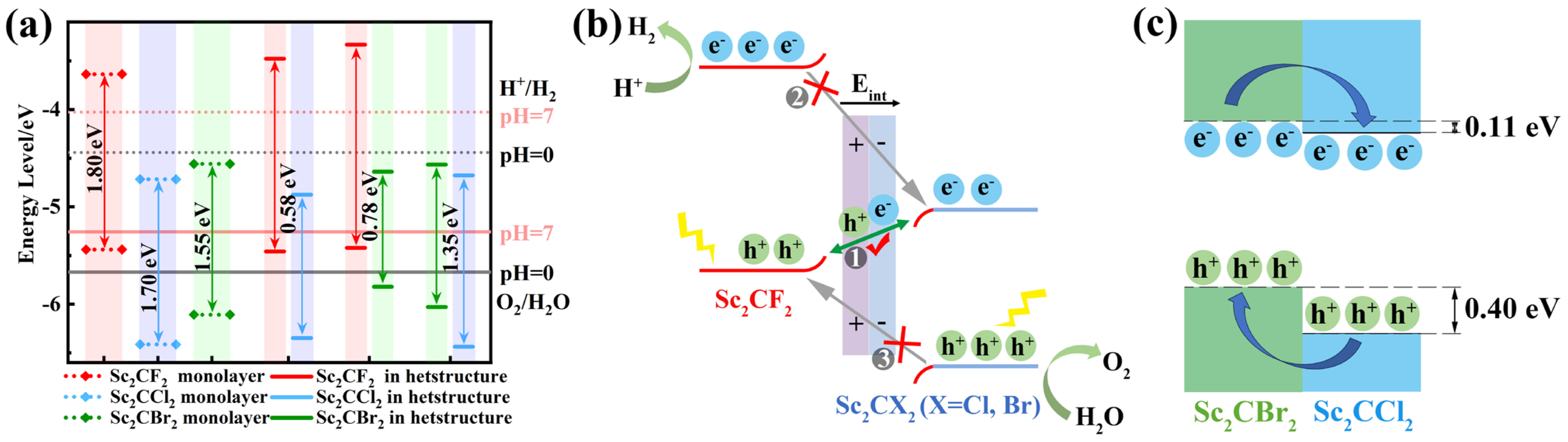 Molecules 29 02898 g005