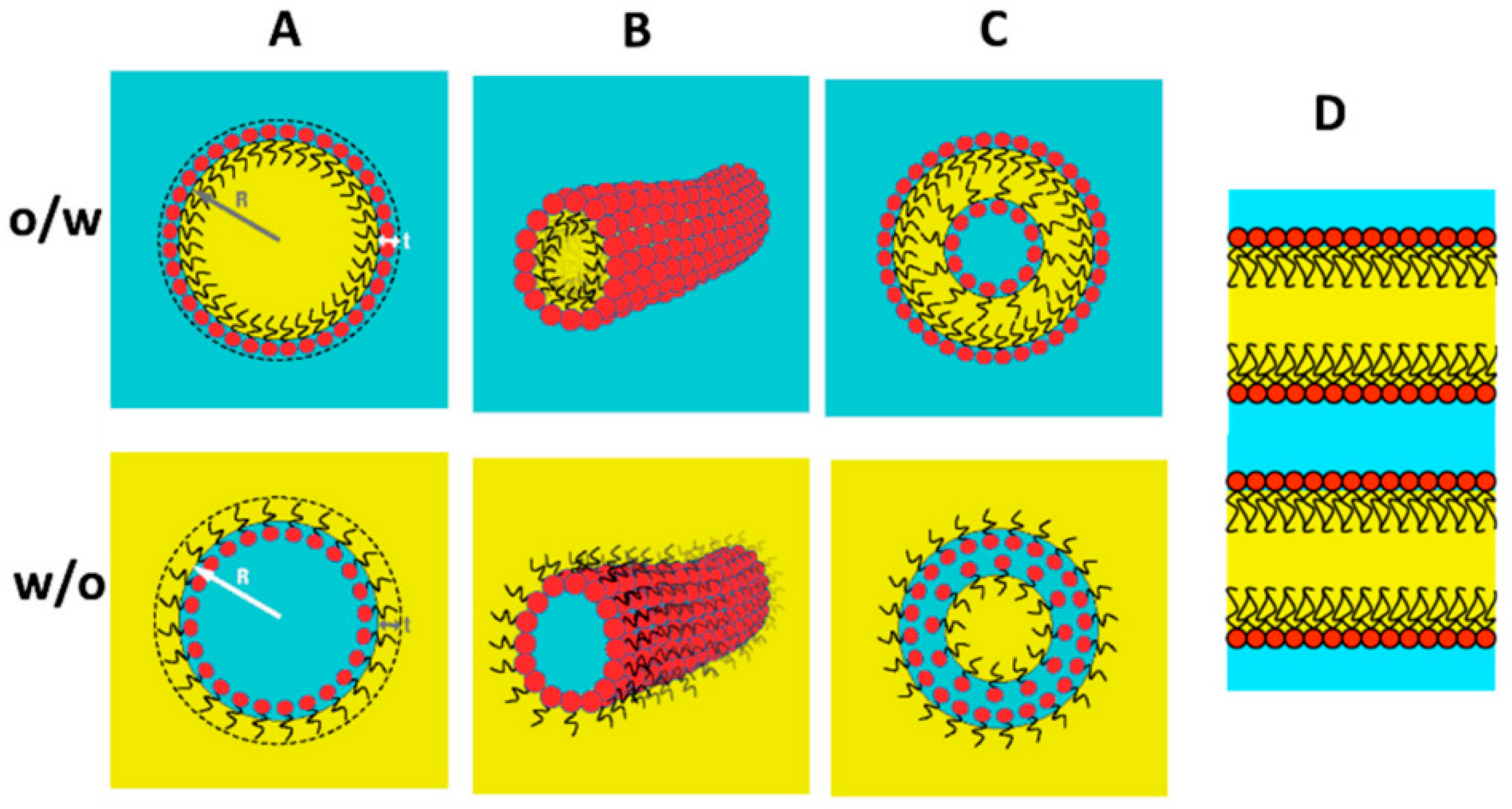 Molecules 29 02901 g003