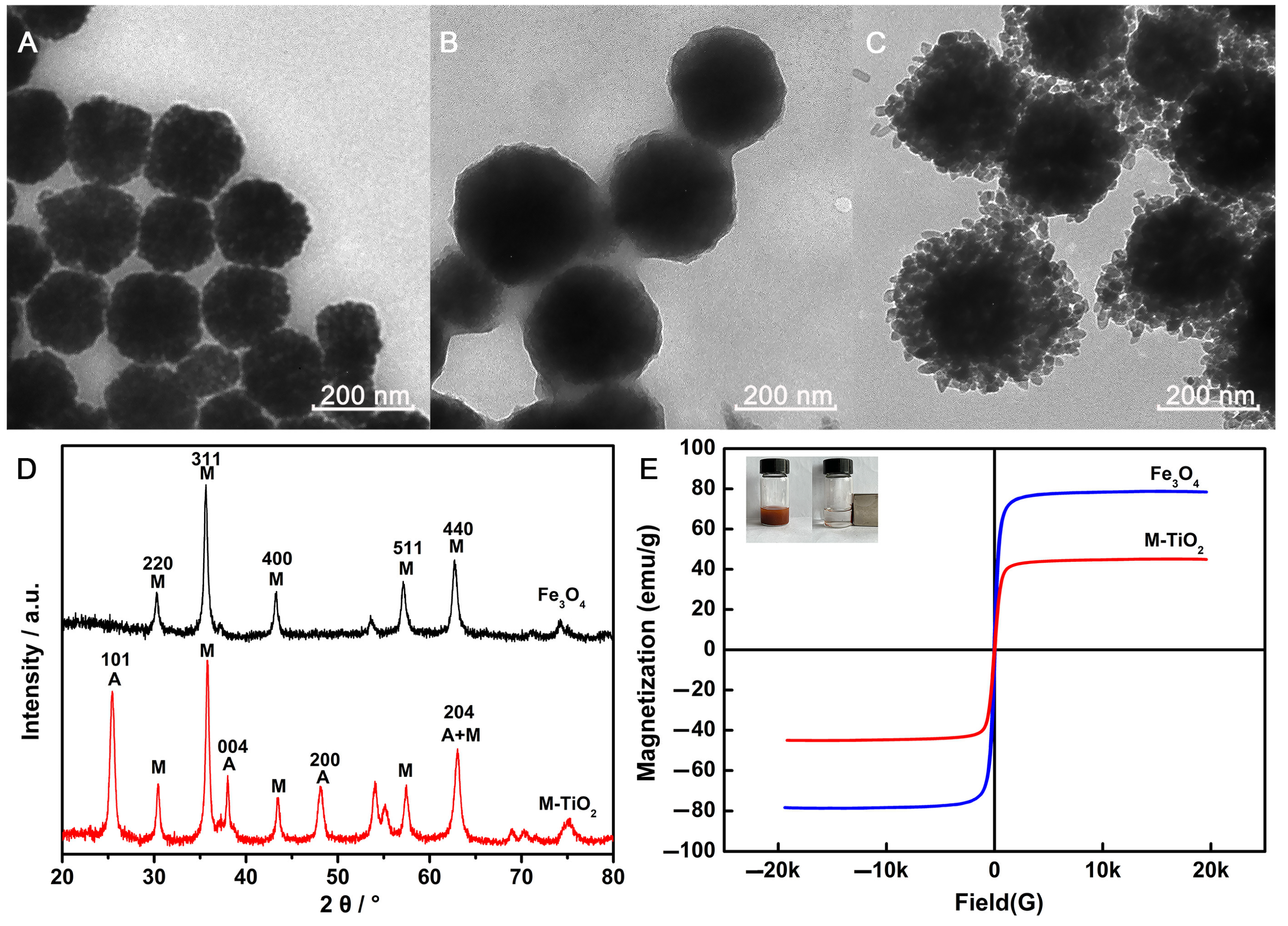 Molecules 29 02906 g001
