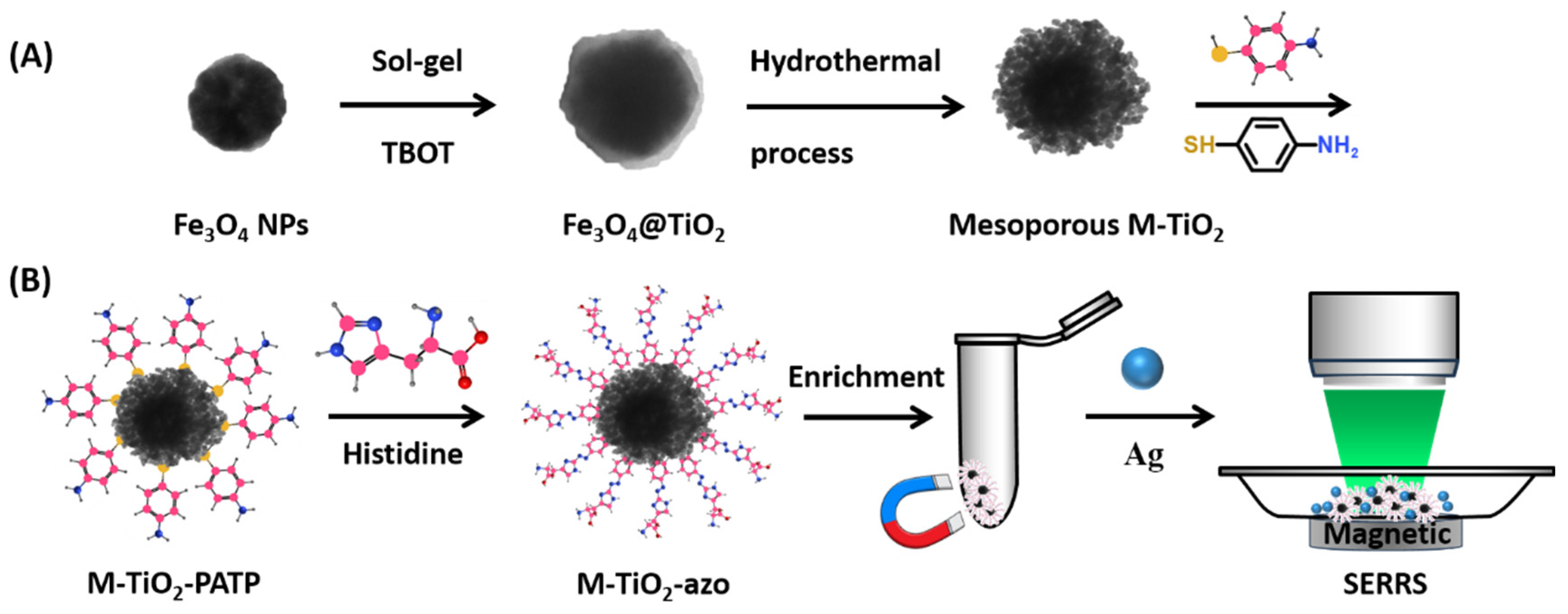 Molecules 29 02906 sch001