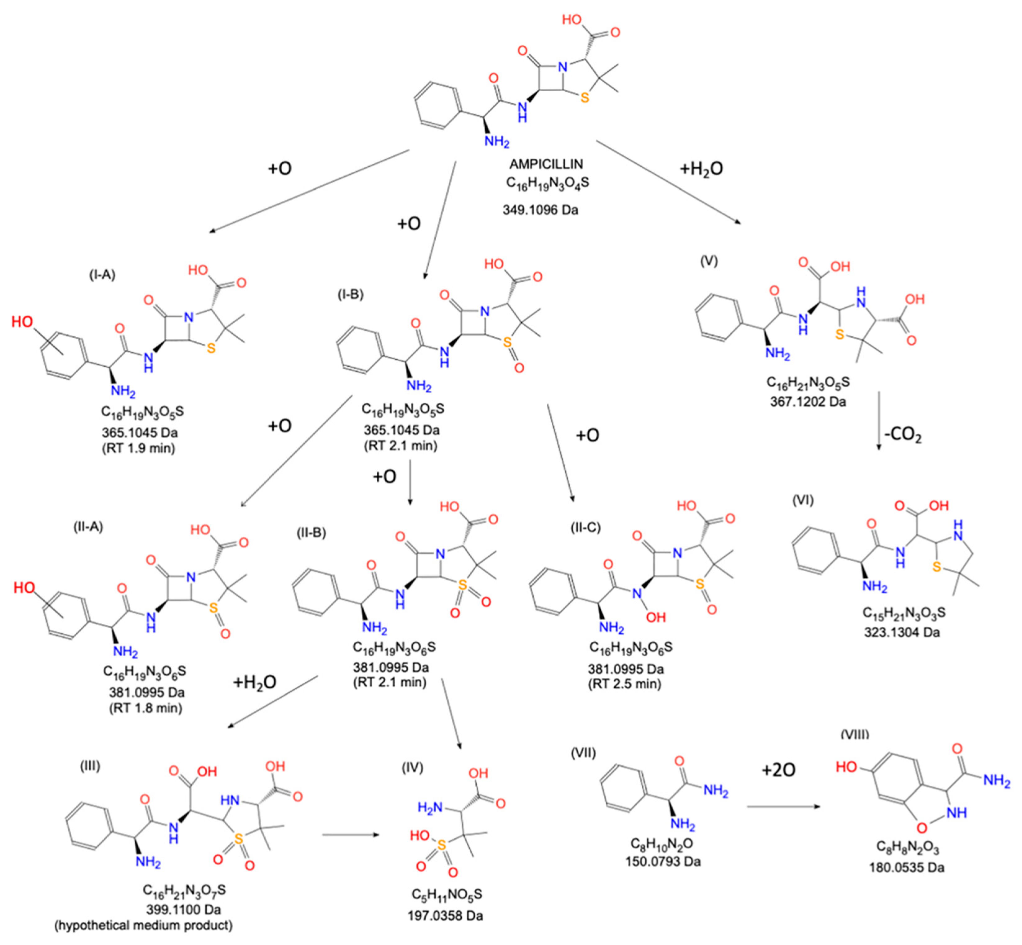 Molecules 29 02910 g004
