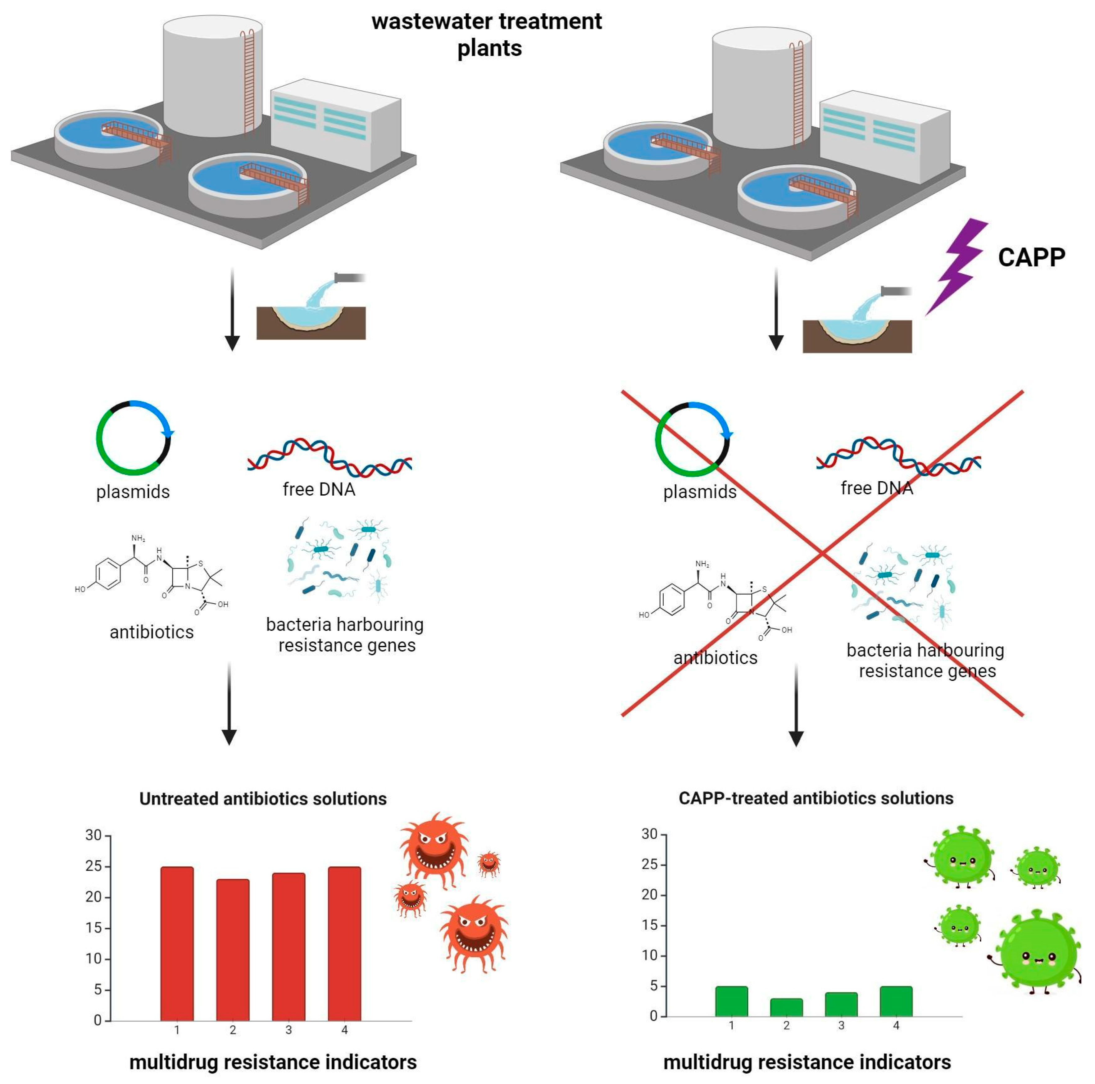 Molecules 29 02910 g006
