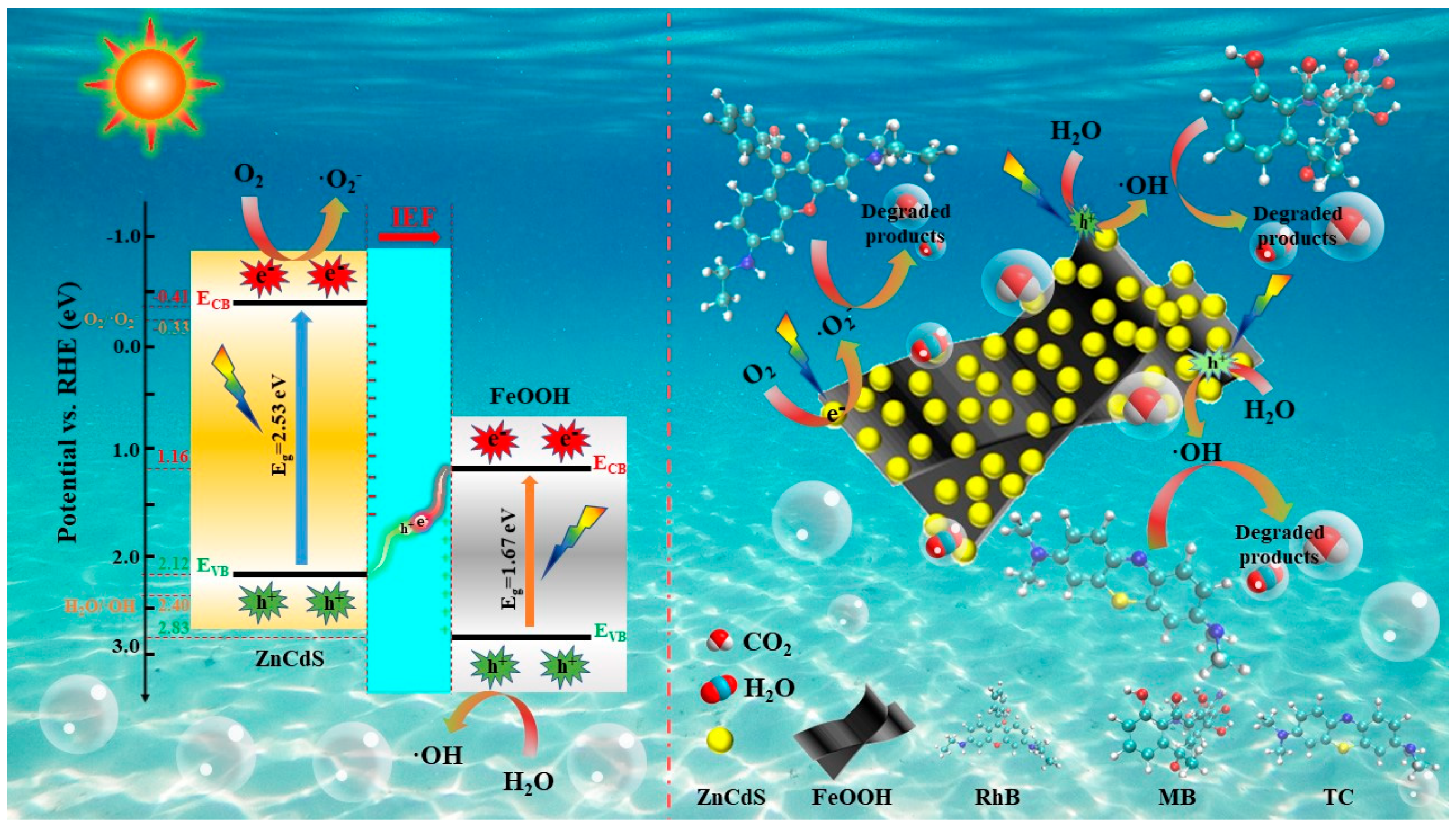 Molecules 29 02913 g008