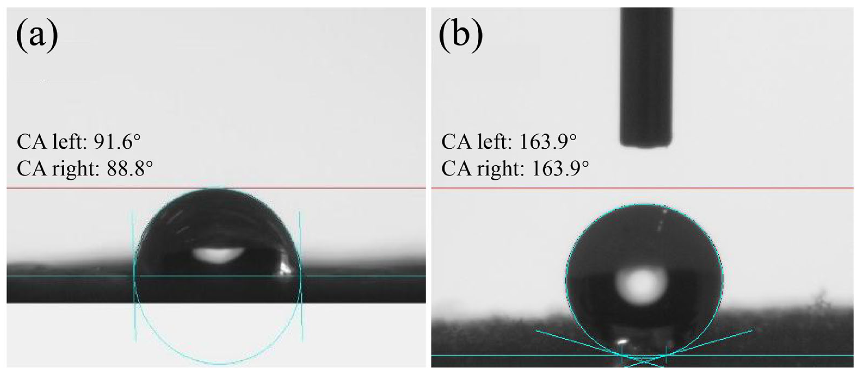Molecules 29 02916 g003