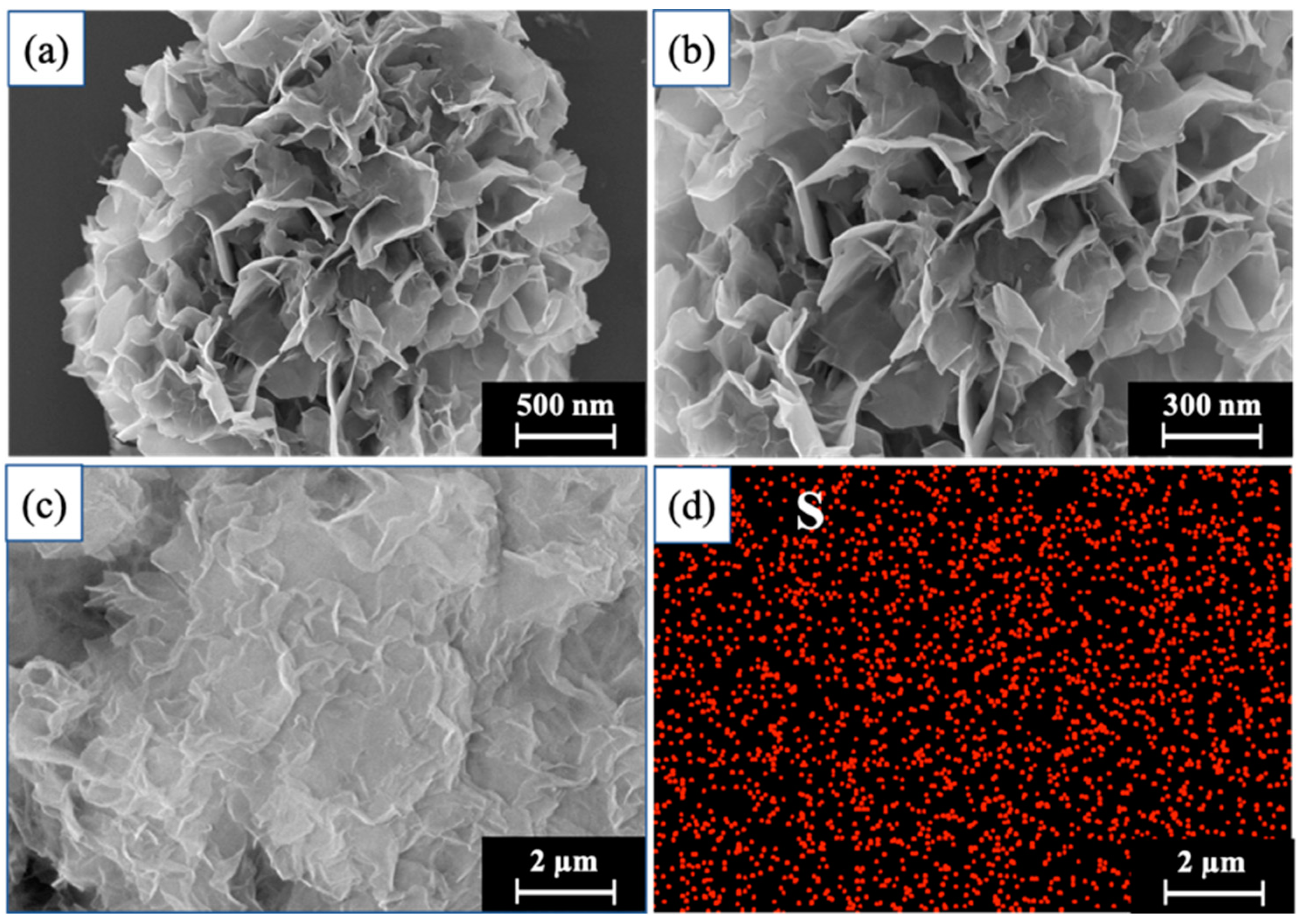 Molecules 29 02922 g002