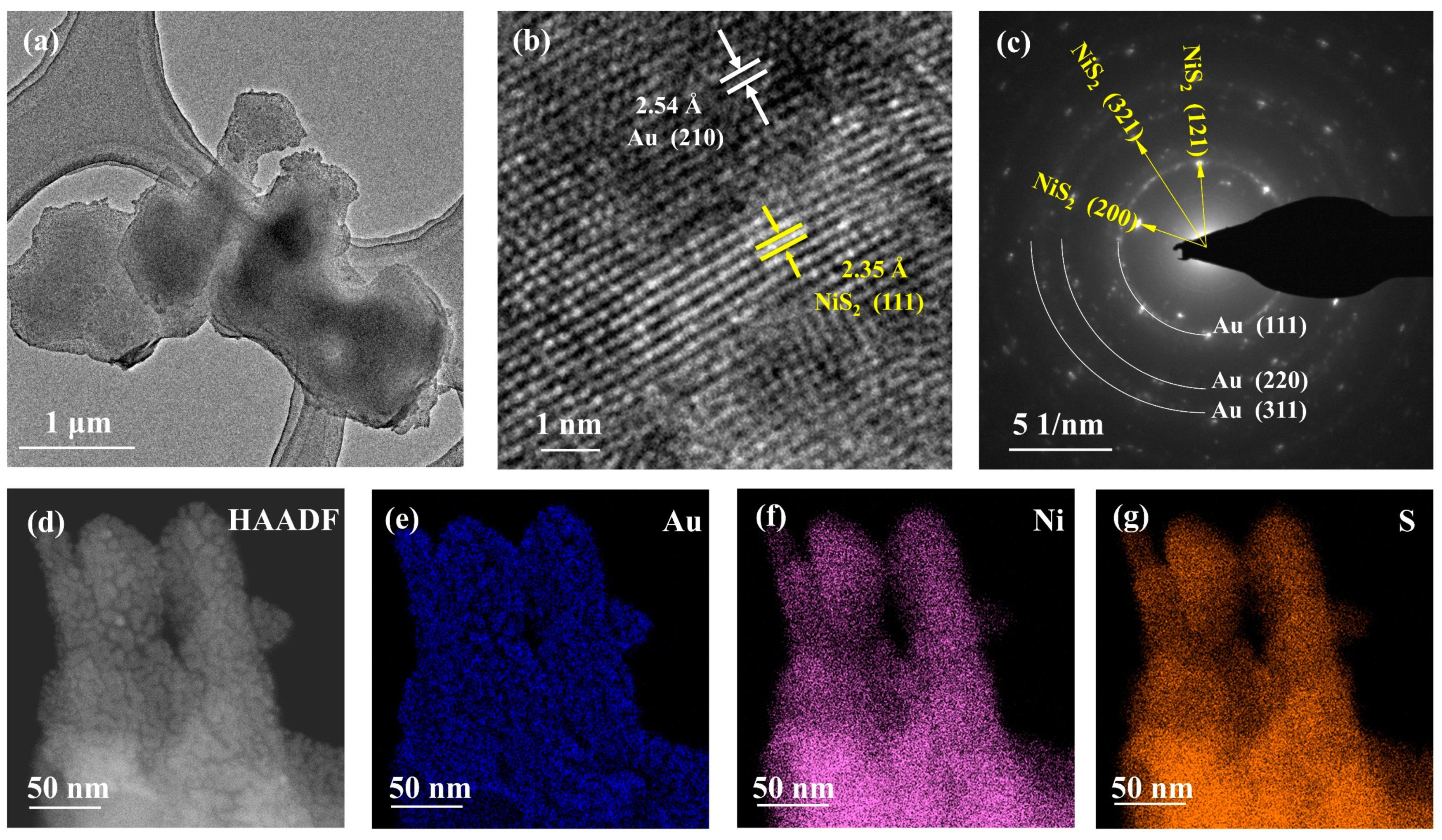 Molecules 29 02925 g002
