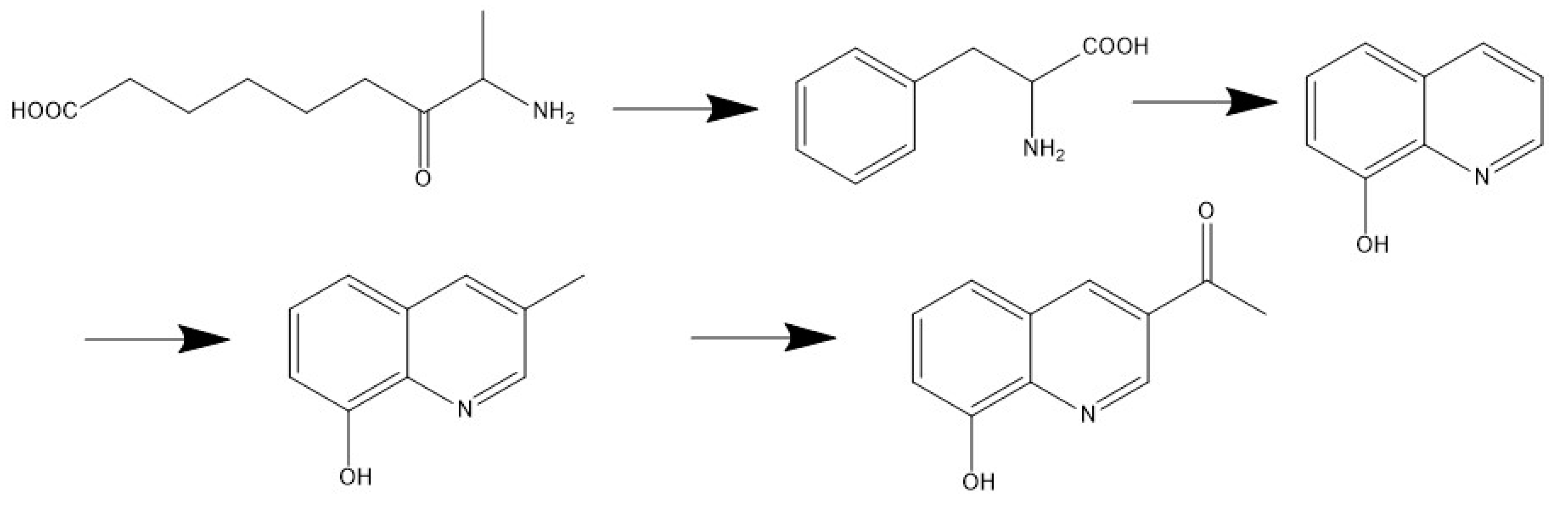Molecules 29 02930 g006