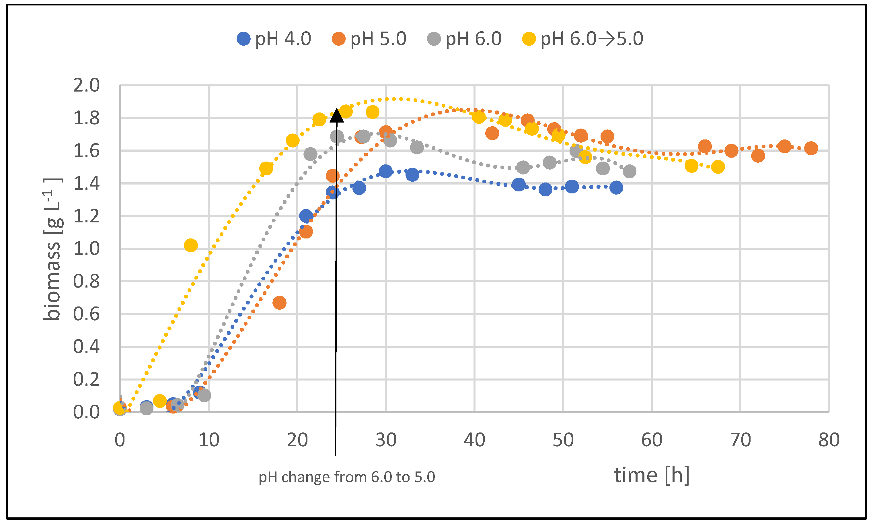 Molecules 29 02932 g002