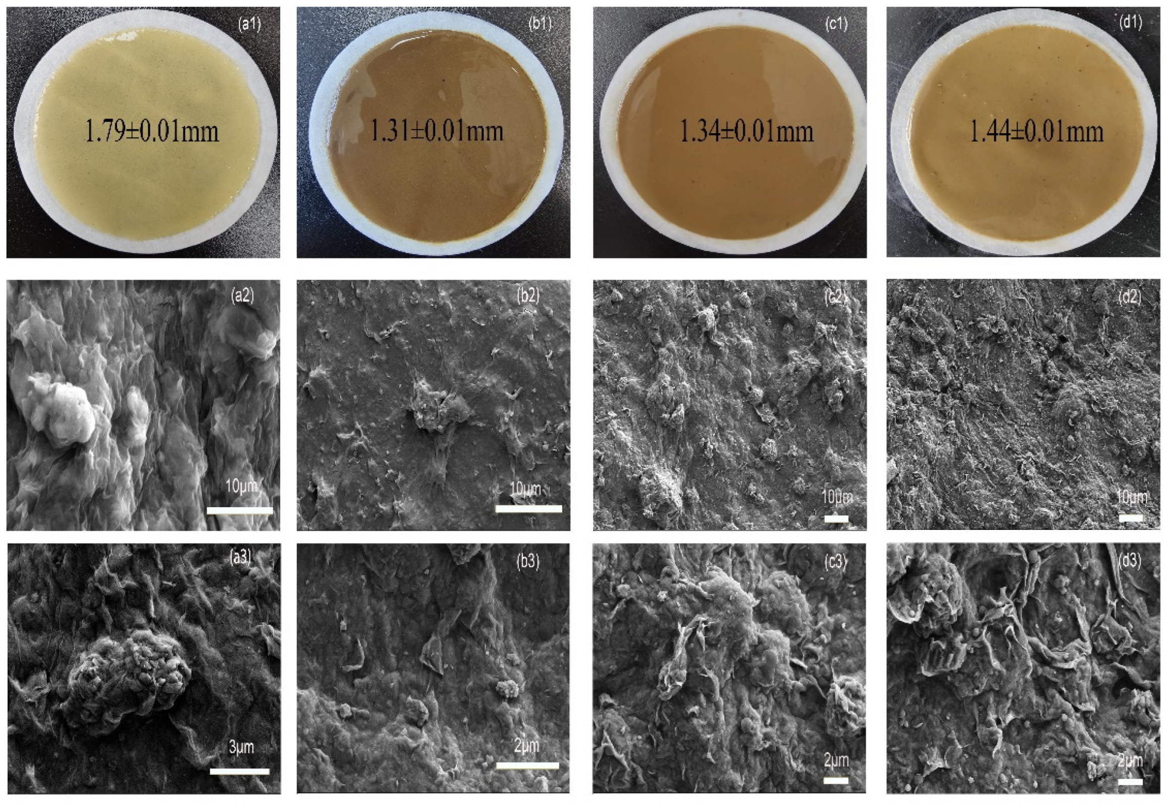 Molecules 29 02933 g010