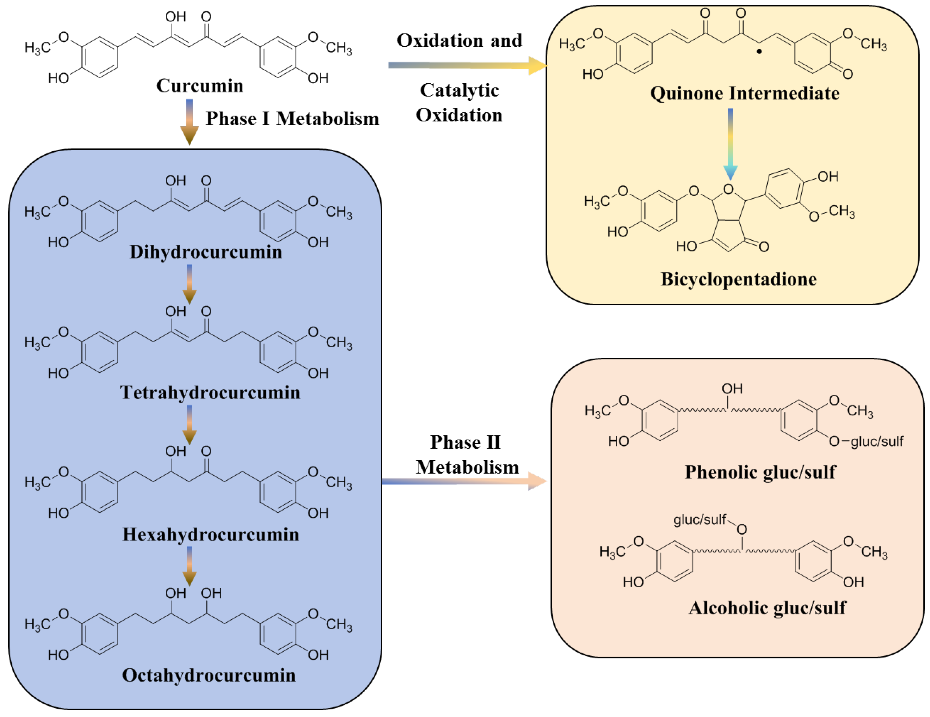 Molecules 29 02934 g002
