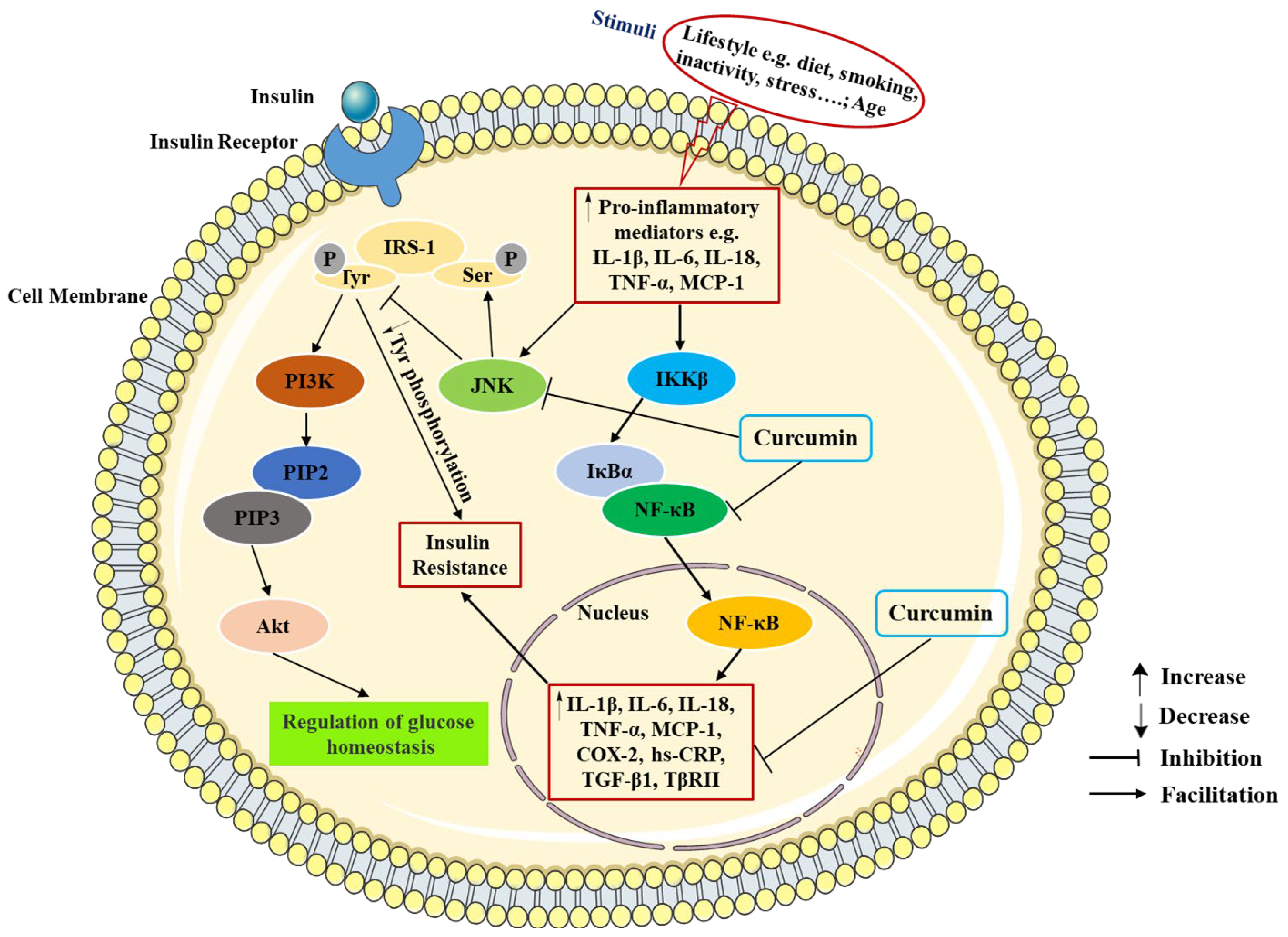 Molecules 29 02934 g003