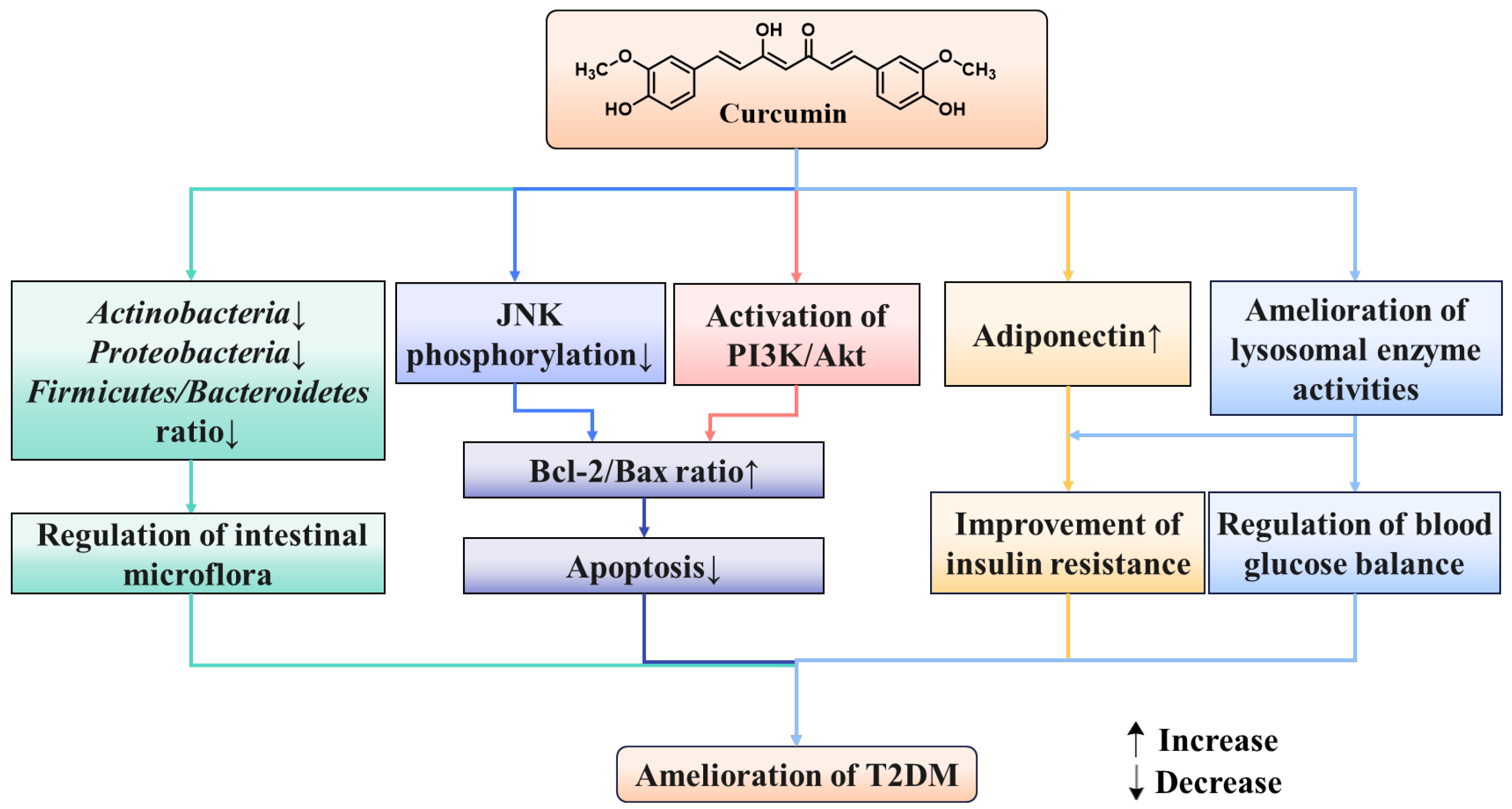 Molecules 29 02934 g005