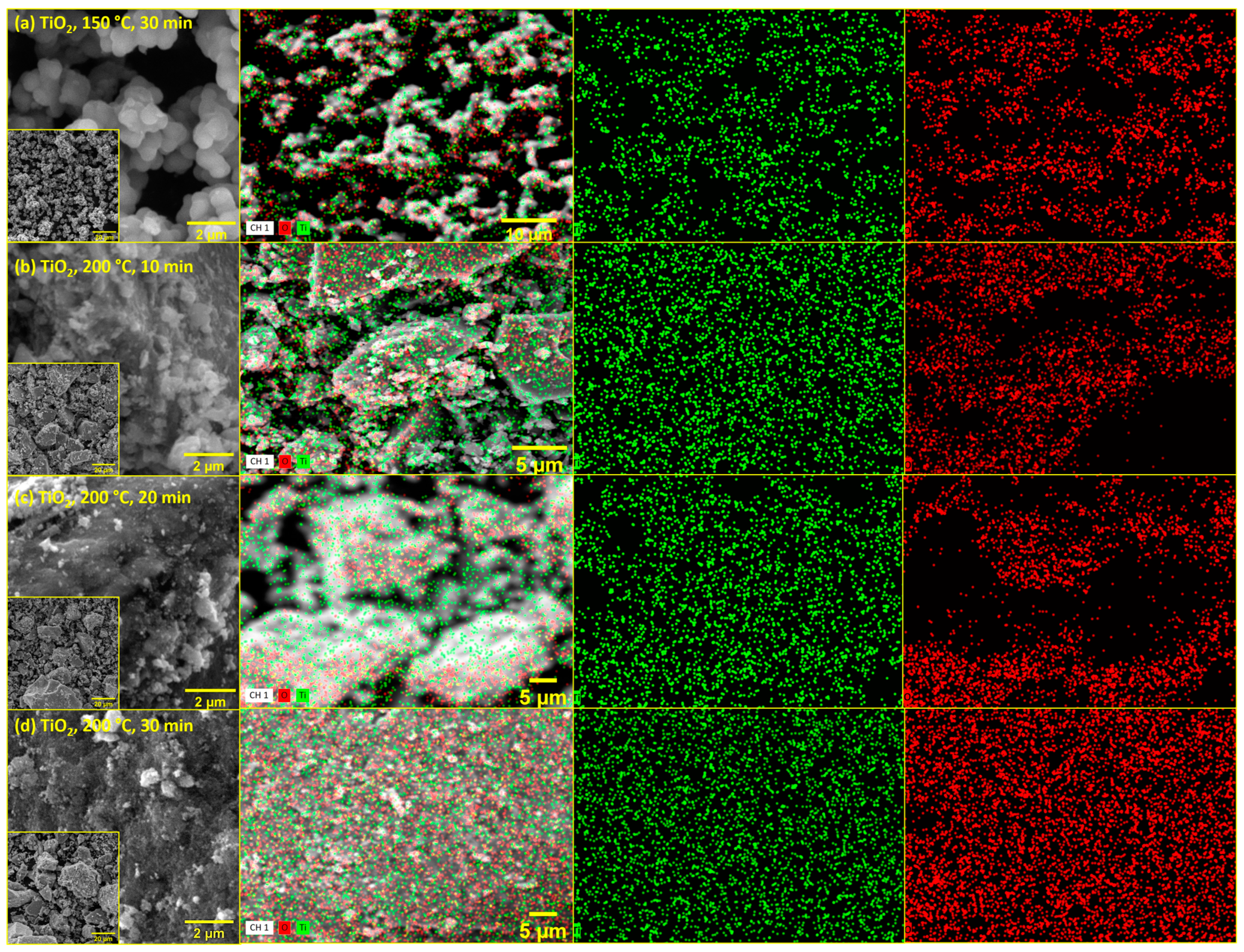 Molecules 29 02935 g004