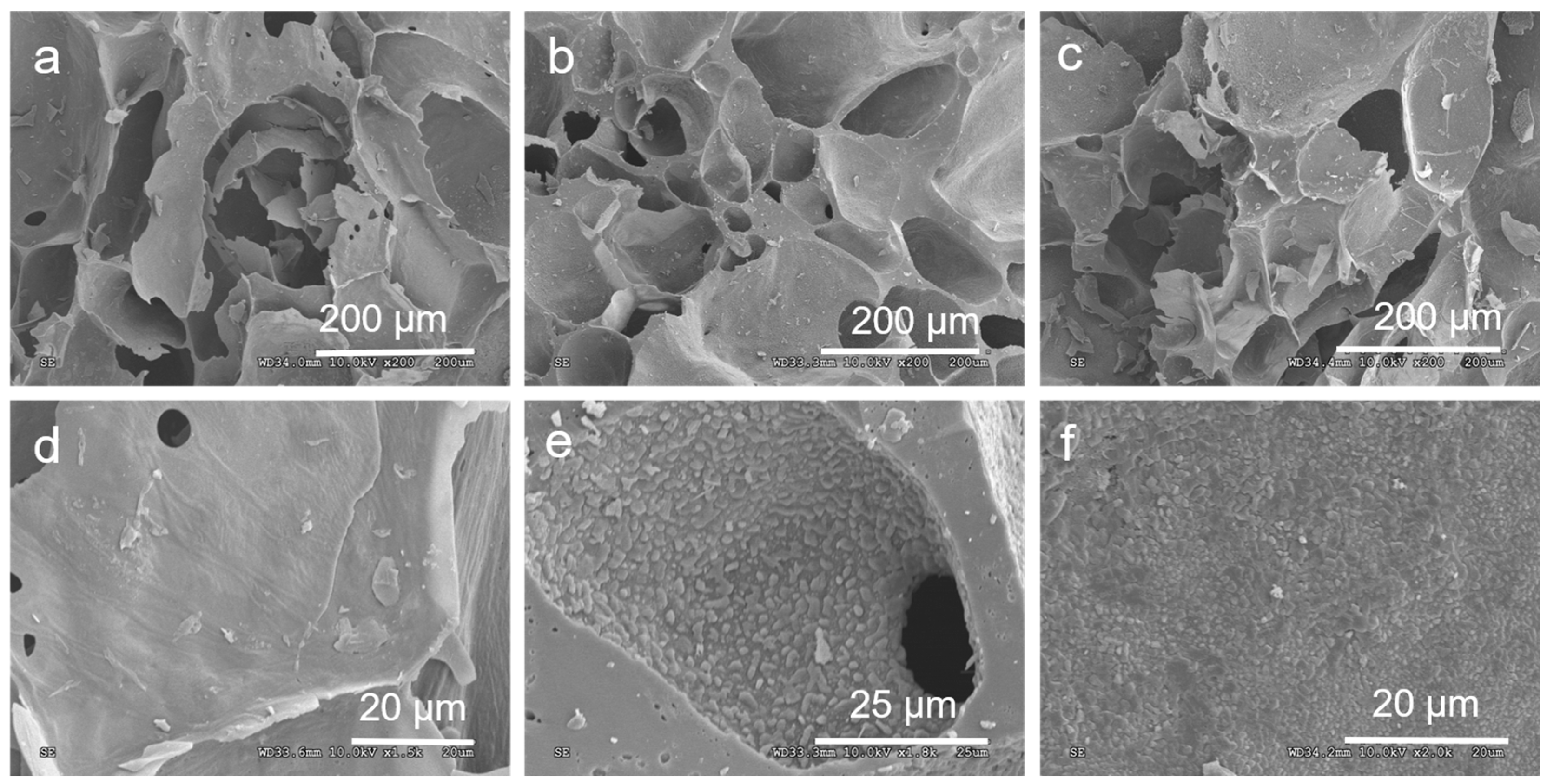 Molecules 29 02936 g001