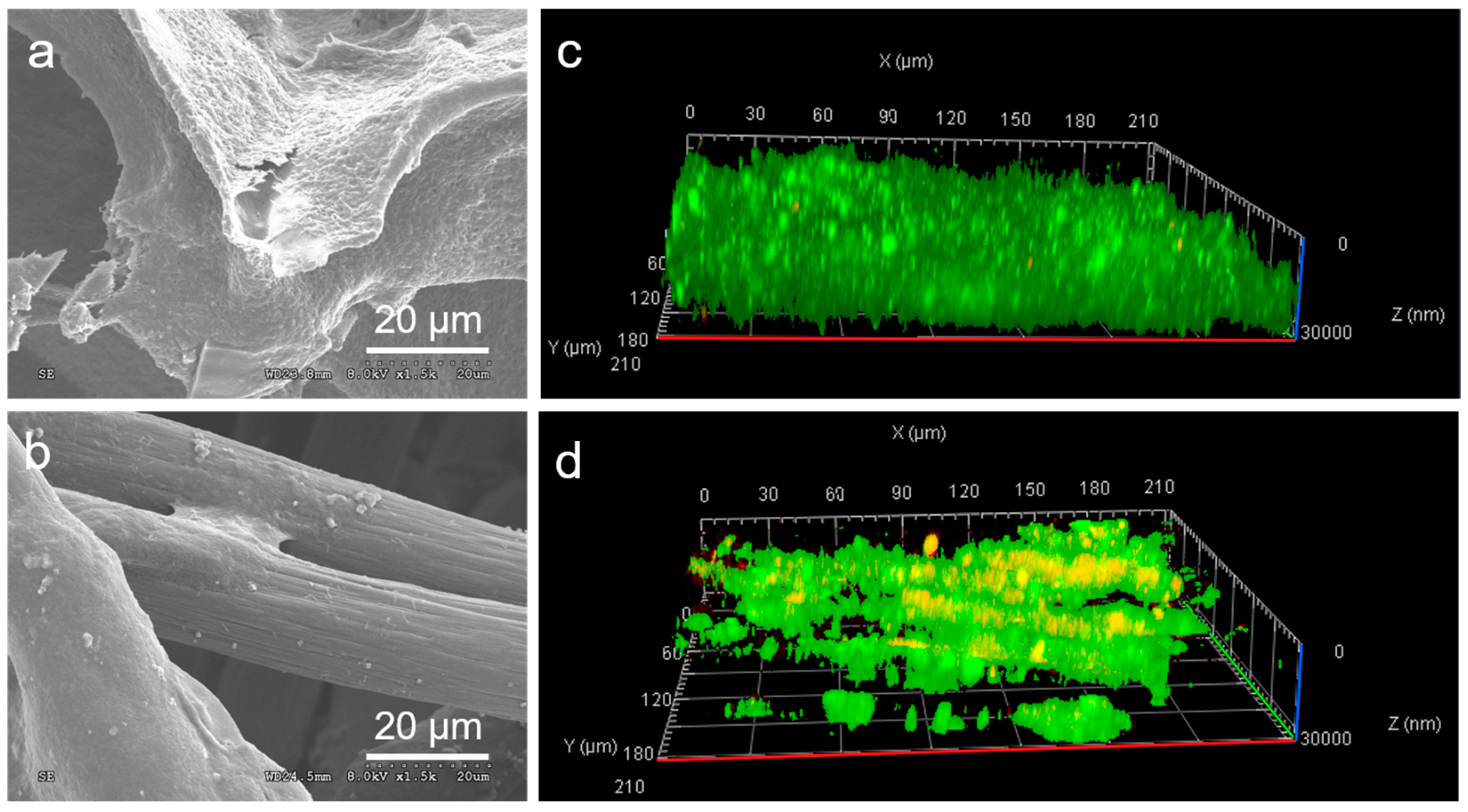 Molecules 29 02936 g005